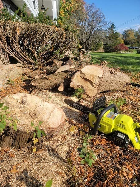 40V HP BRUSHLESS 14 in. Battery Chainsaw Tool ONLY | Battery and Charger Sold Separately customer photo 1