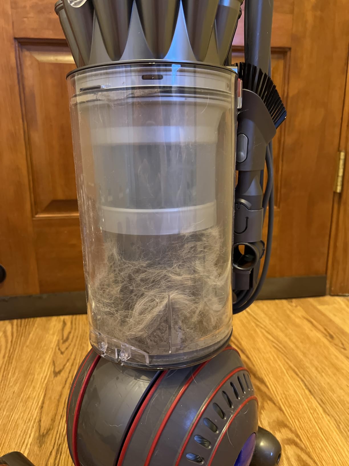 Dyson Ball Animal 3 Upright Vacuum customer photo 1