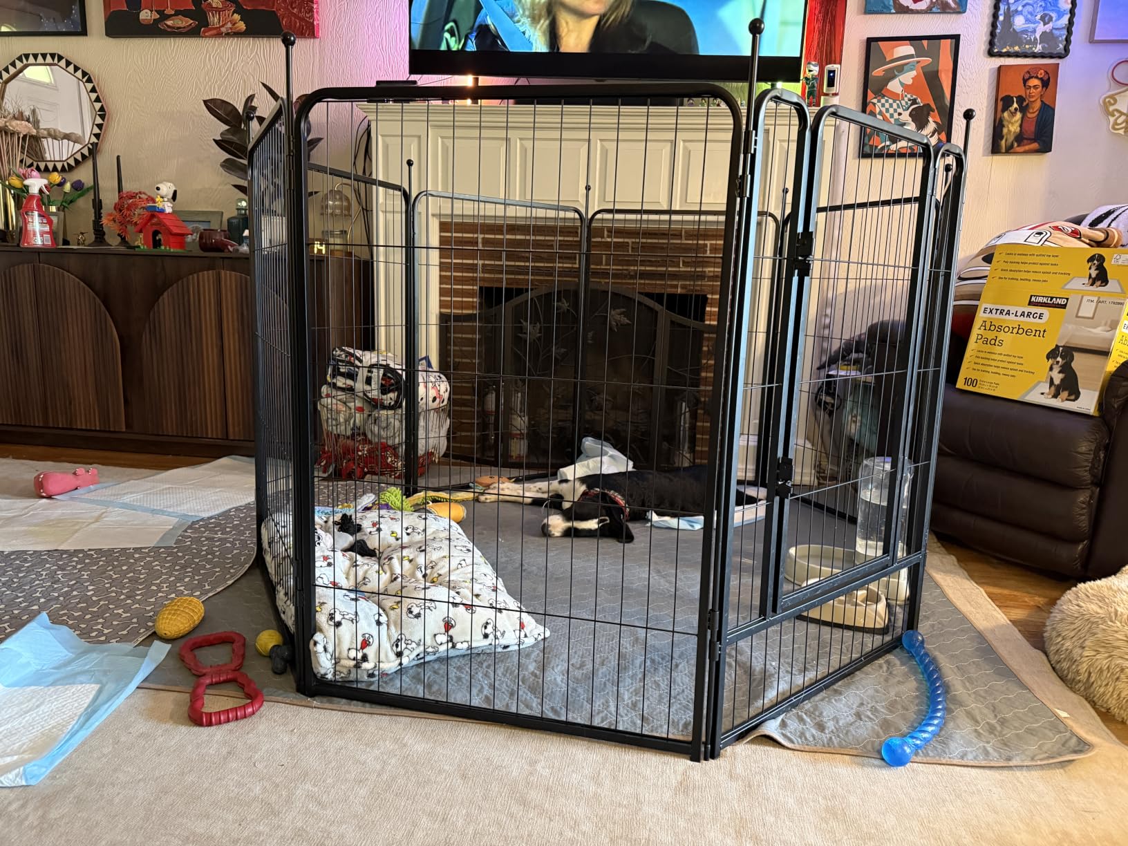 FXW Rollick Unleashed Dog Playpen for Indoor, Yard, RV Camping, 40 inch 8 Panels for Medium and Large Dogs, Black - Patented customer photo 1