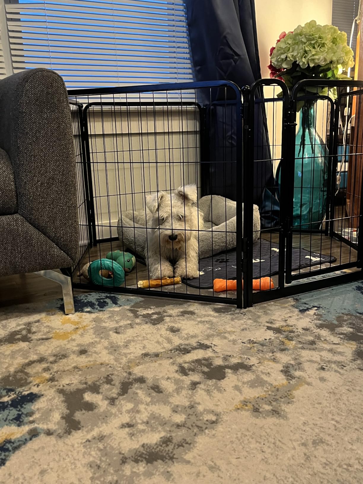 FXW Homeplus Unleashed Indoor Dog Playpen - Stress-Free and Safe Play, Heavy Duty 24 Inch 6 Panels Dog Pen for Puppy and Small Dogs, Black - Patented customer photo 1