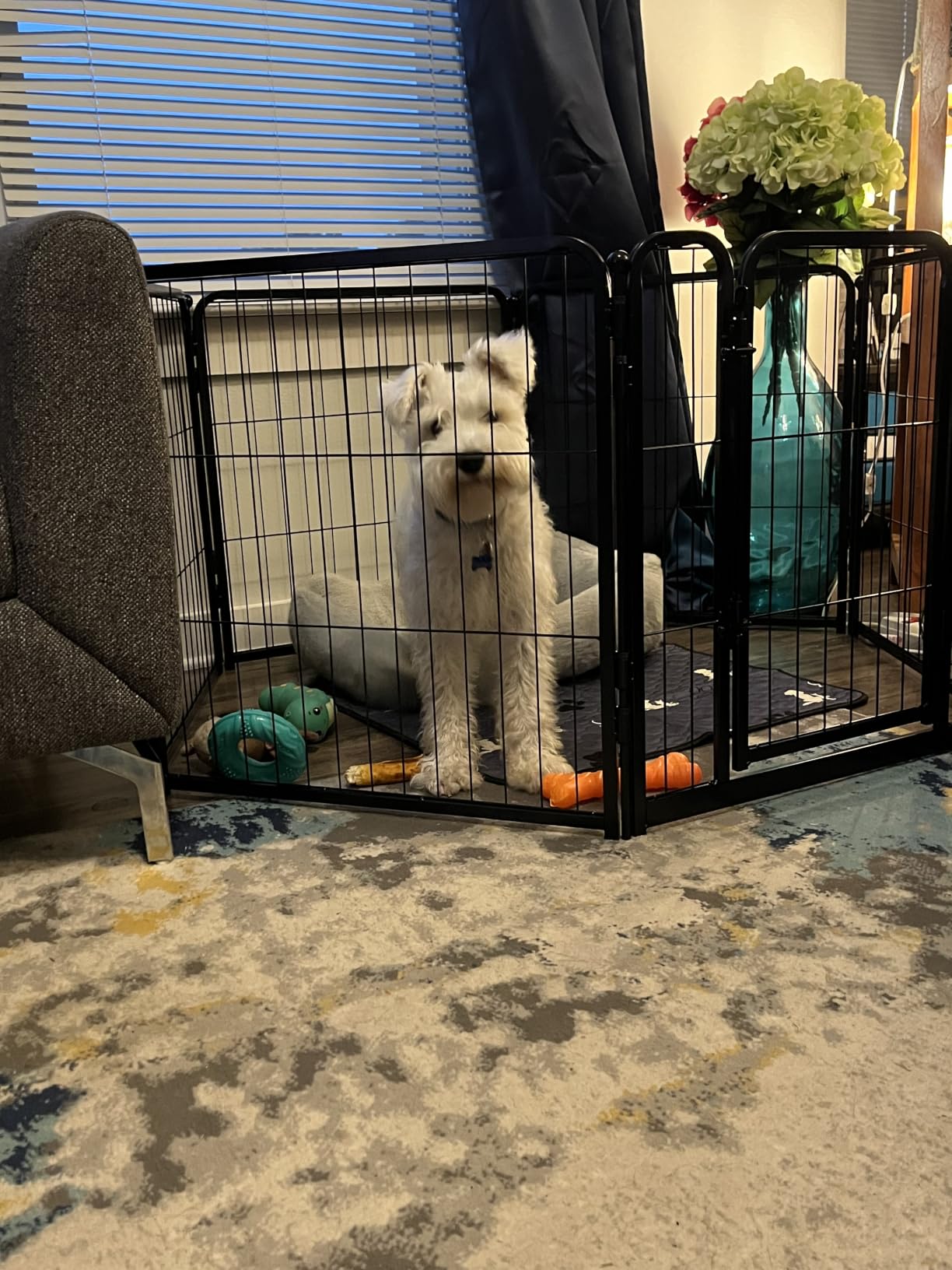 FXW Homeplus Unleashed Indoor Dog Playpen - Stress-Free and Safe Play, Heavy Duty 24 Inch 6 Panels Dog Pen for Puppy and Small Dogs, Black - Patented customer photo 2