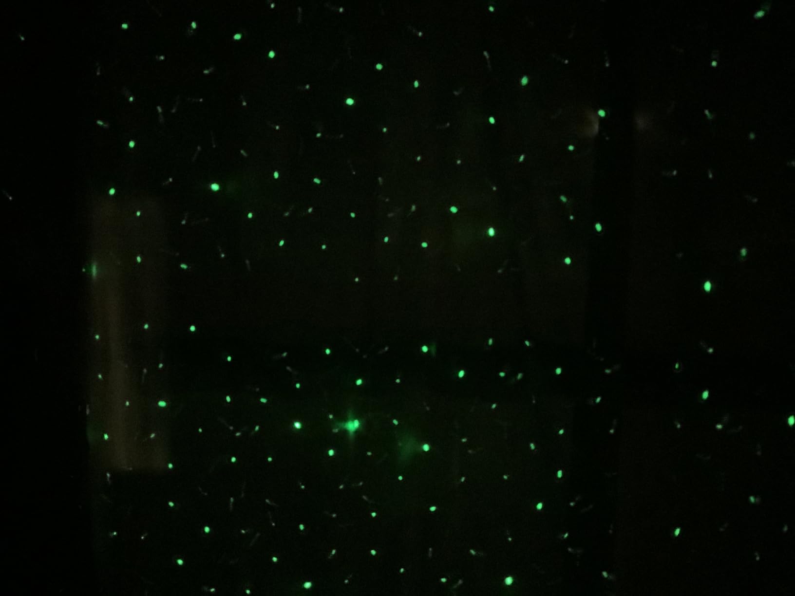 Laser Christmas Projector Lights Outdoor, Firefly Light Show for Trees | 3 Colors, RF Remote, Waterproof, Indoor Holiday Halloween Decoration customer photo 2