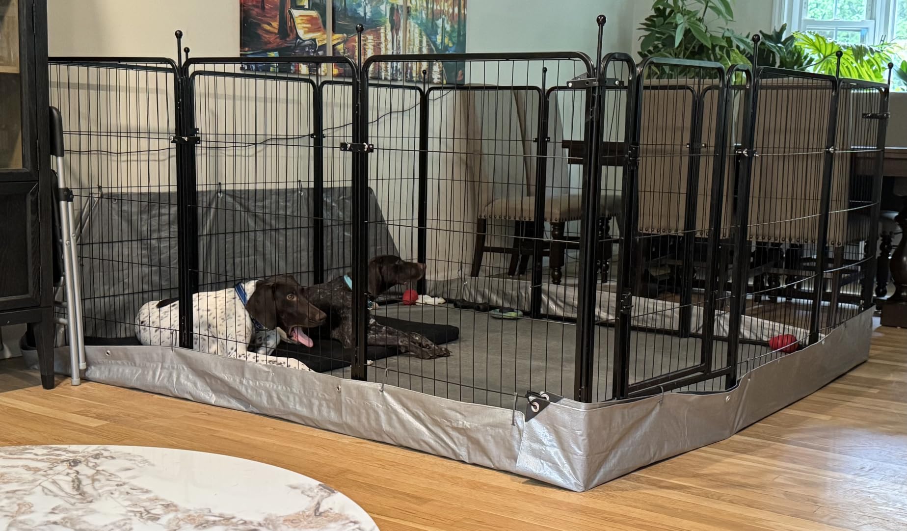 FXW Rollick Unleashed Dog Playpen for Indoor, Yard, RV Camping, 24 inch 8 Panels for Small and Puppy Dogs, Black customer photo 2