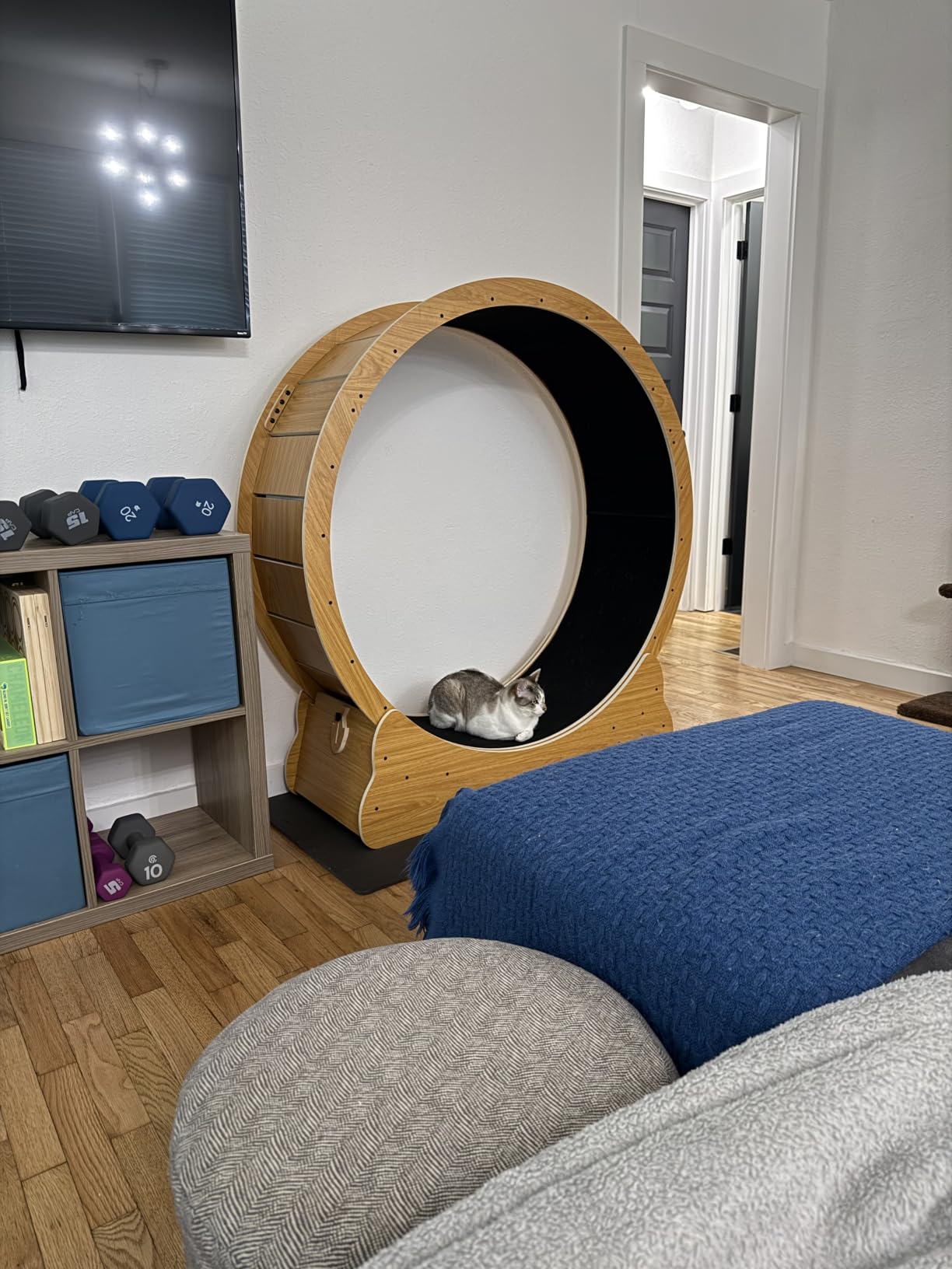 Nordic Beast 48'' XL Cat Wheel - Safe, Quiet & Stable Exercise Wheel for Large Indoor Cats up to 45 lbs - 15.7'' Extra-Wide Surface Fits 2 Cats Side by Side & Prevents Wobbling, 1-Year Warranty customer photo 1