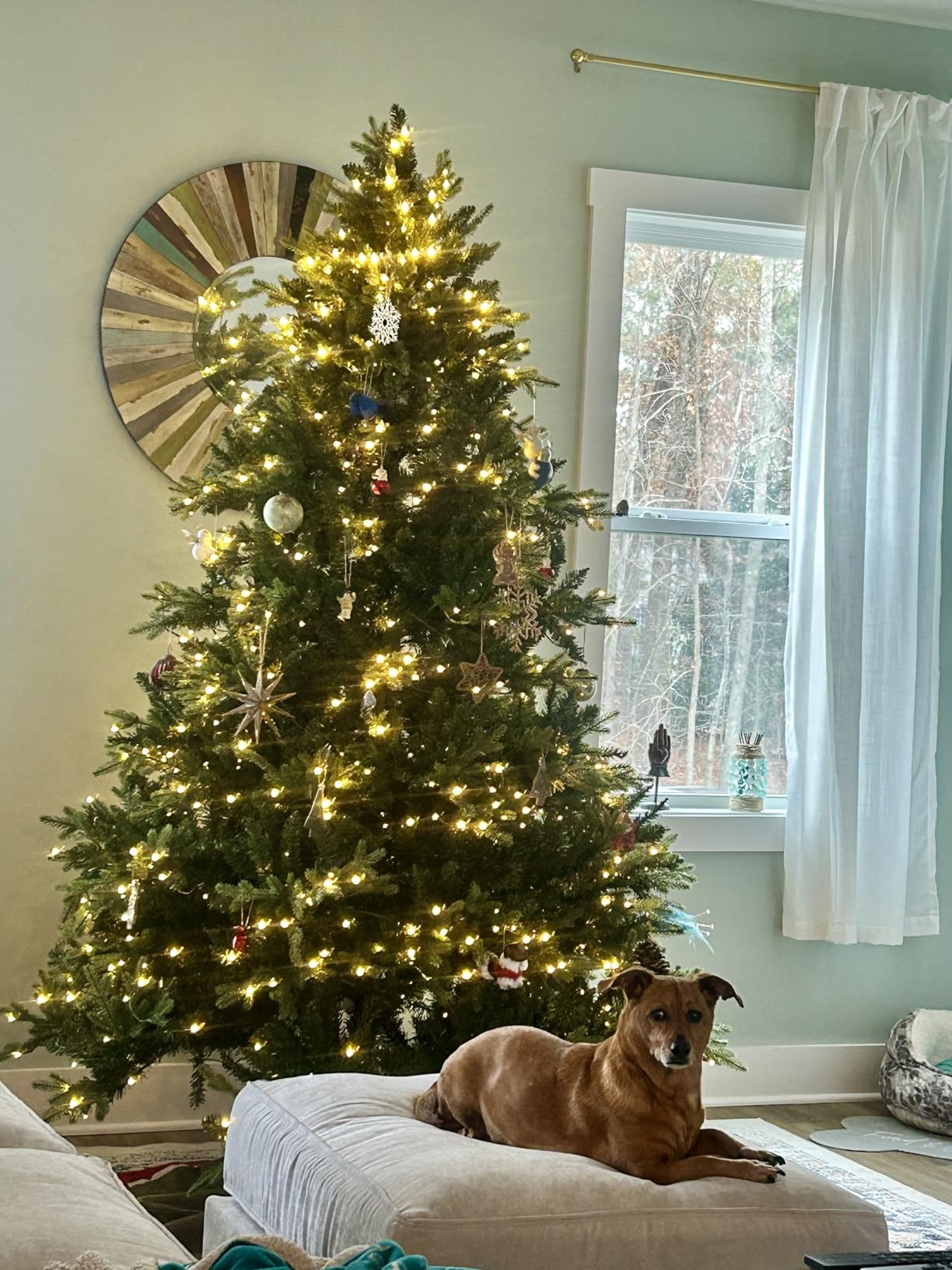 Naomi Home Cynthia 7.5ft Prelit Aritificial Christmas Tree with 3661 Branch Tips, 800 Warm Lights and Metal Stand, 60