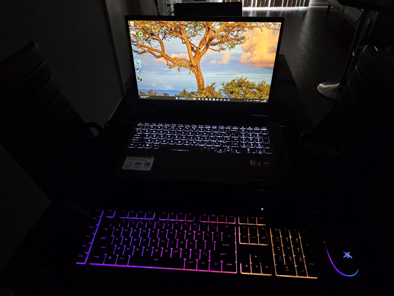 HP Victus 15 Gaming Laptop, 15.6