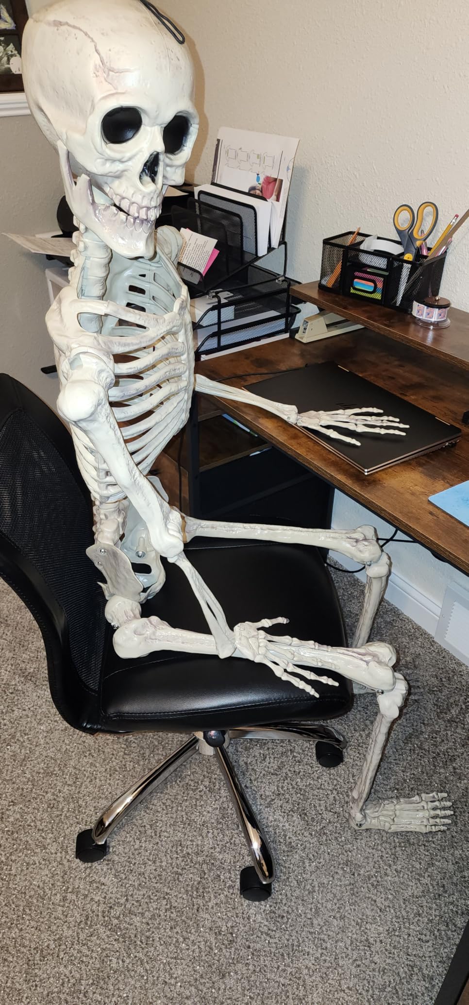JOYIN 5.6 FT Halloween Posable Life Size Skeleton, Full Body Realistic Bones with Movable Joints, Giant Skeletons Halloween Decorations for Indoor Outdoor Haunted House Props, Spooky Scene Party Decor customer photo 1