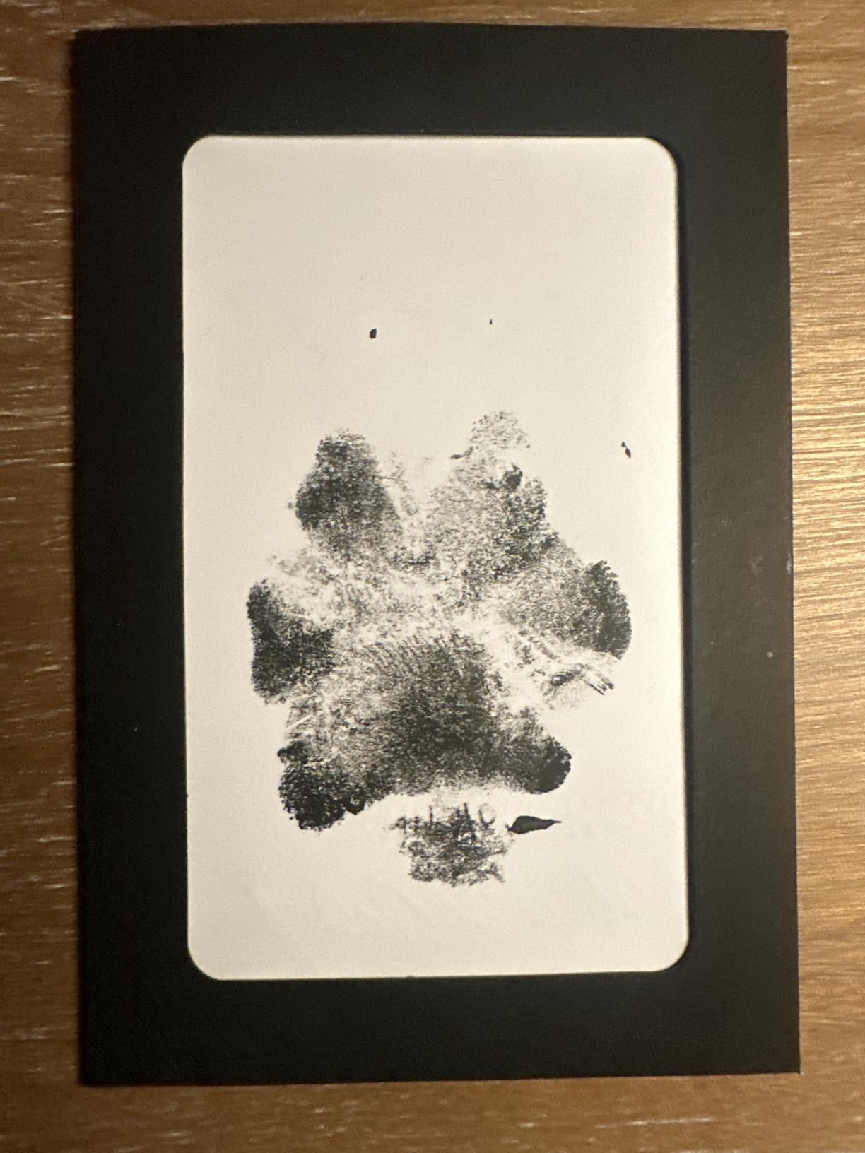 DeerZone Inkless Paw Print Kit, Dog Paw Print Kit, Dog Nose Print Kit, Clean Touch Ink Pads and Imprint Cards, Pet Paw Print Impression Kit for Dogs Cats Footprint Keepsake customer photo 2