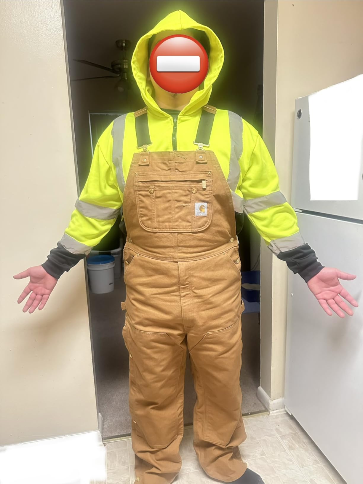Carhartt Men's Firm Duck Bib Overall customer photo 1
