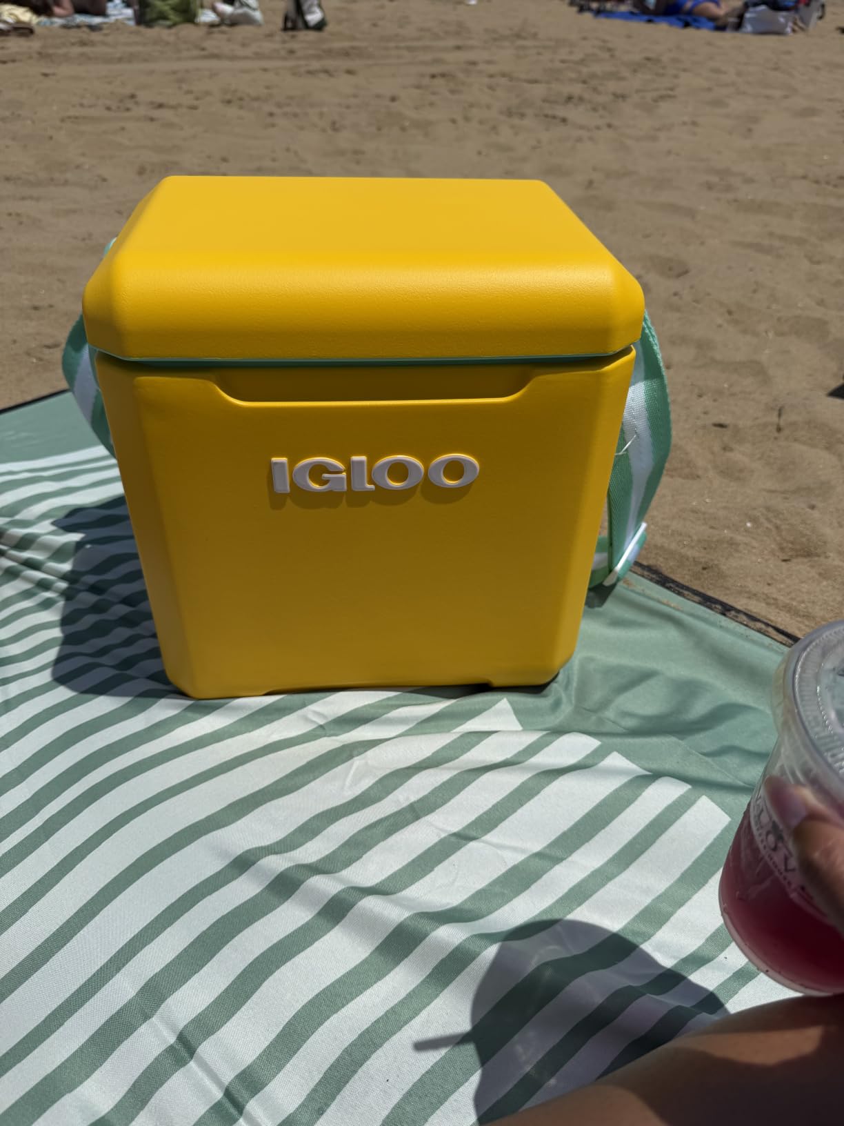 Igloo Tag Along Too Coolers | Insulated Hard Shell Picnic Style Cooler | Rolling Ice Chest customer photo 1