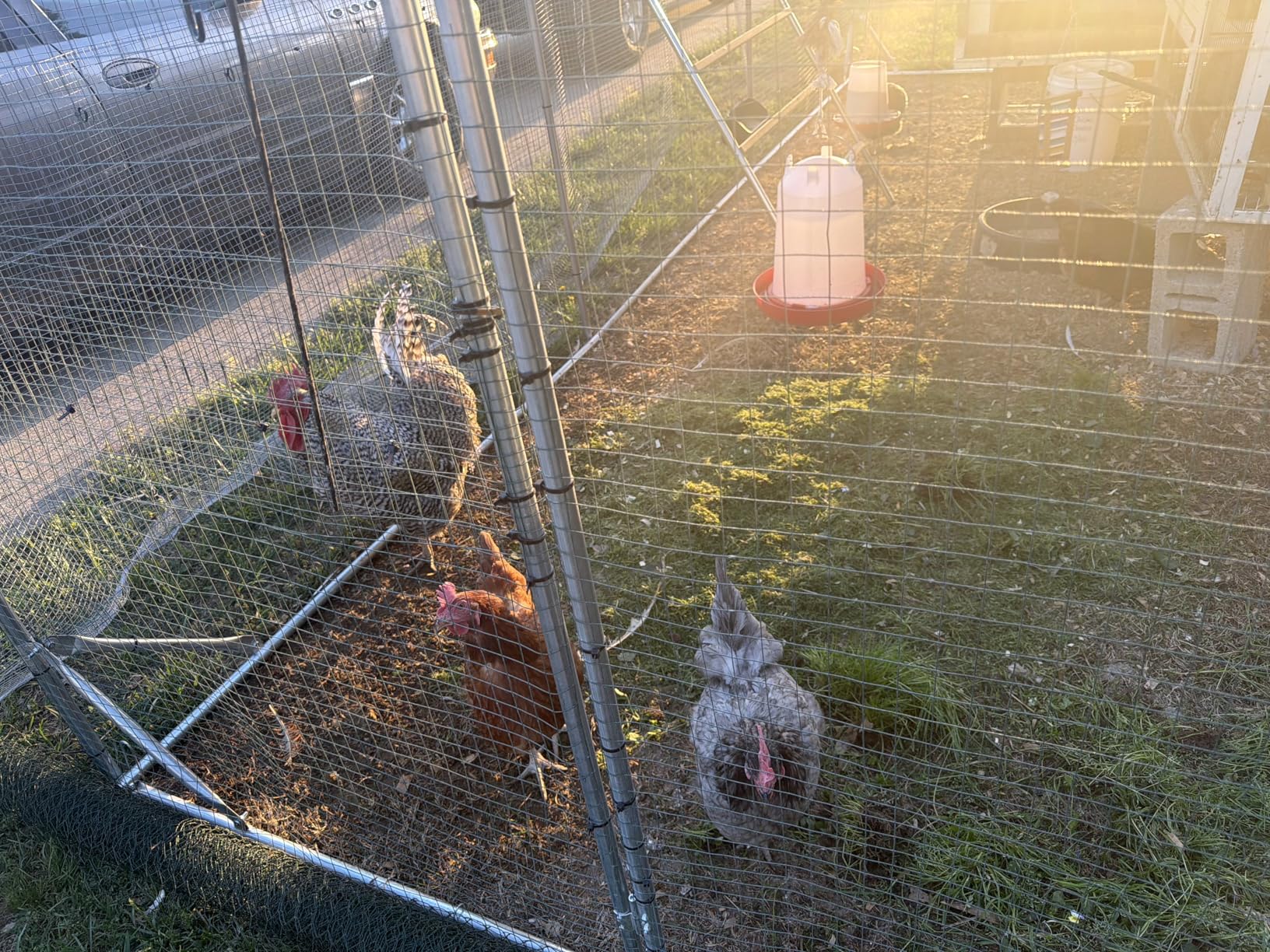 Quictent Large Metal Chicken Coop Run for 30+ Poultry with Side Hardware Cloth & Waterproof Cover, Advanced Series Outdoor Walk-in Cage Hen Duck Rabbit Dog Pen Yard Farm House, 18x9x6.6FT customer photo 2
