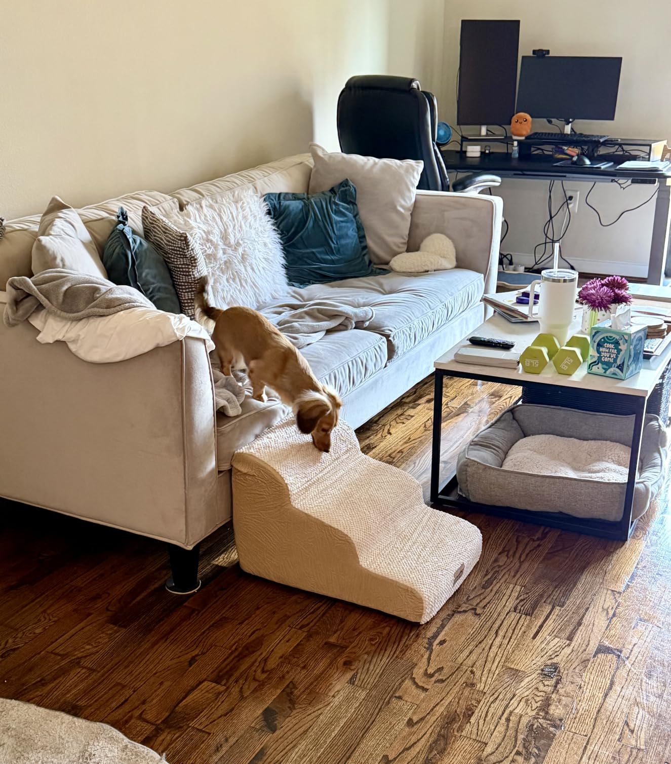 COZY KISS Dog Stairs for Small Dogs 15.7