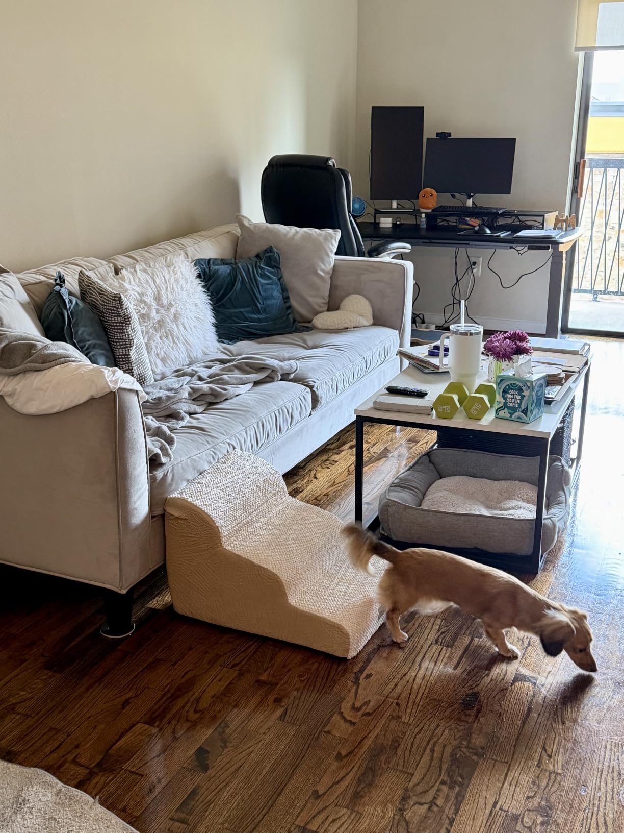 COZY KISS Dog Stairs for Small Dogs 15.7
