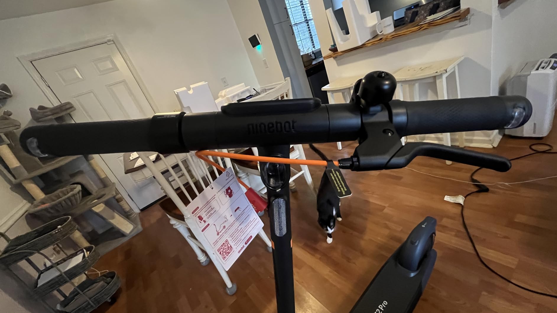 Segway Ninebot E2 Plus II/E2 Pro/E3 Pro Electric Scooter, 15.5-20 MPH, Long Range, Dual Elastomer Suspension (E3 Pro only), Foldable Adult Scooter, UL 2272 & 2271 Certified customer photo 2