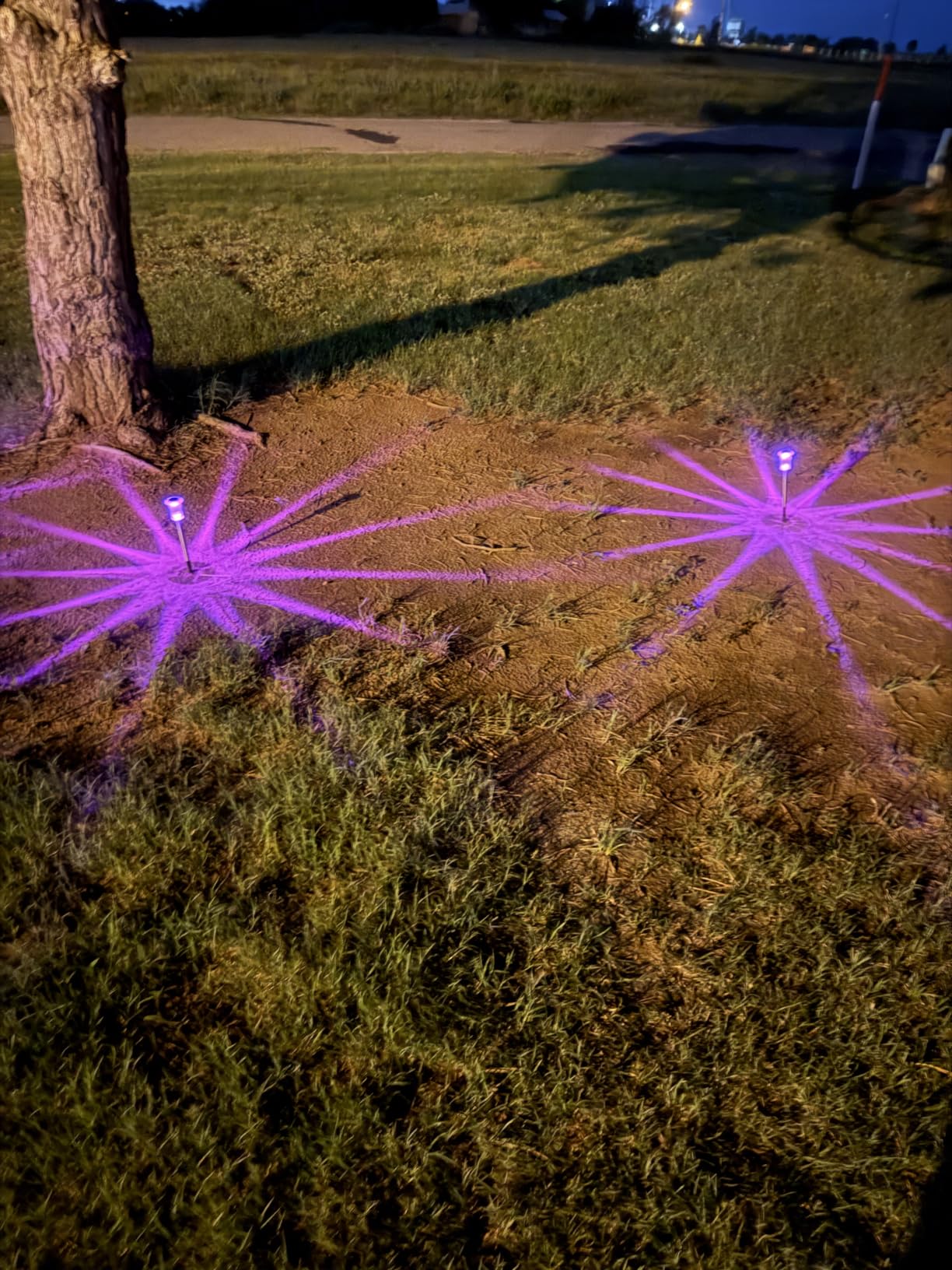 DenicMic Solar Halloween Lights Outdoor 10 Pack Waterproof Outside Lights for Yard Pathway Garden Driveway Walkway Landscape Path Lighting Purple LED Stainless Steel Stake Halloween Decor customer photo 2