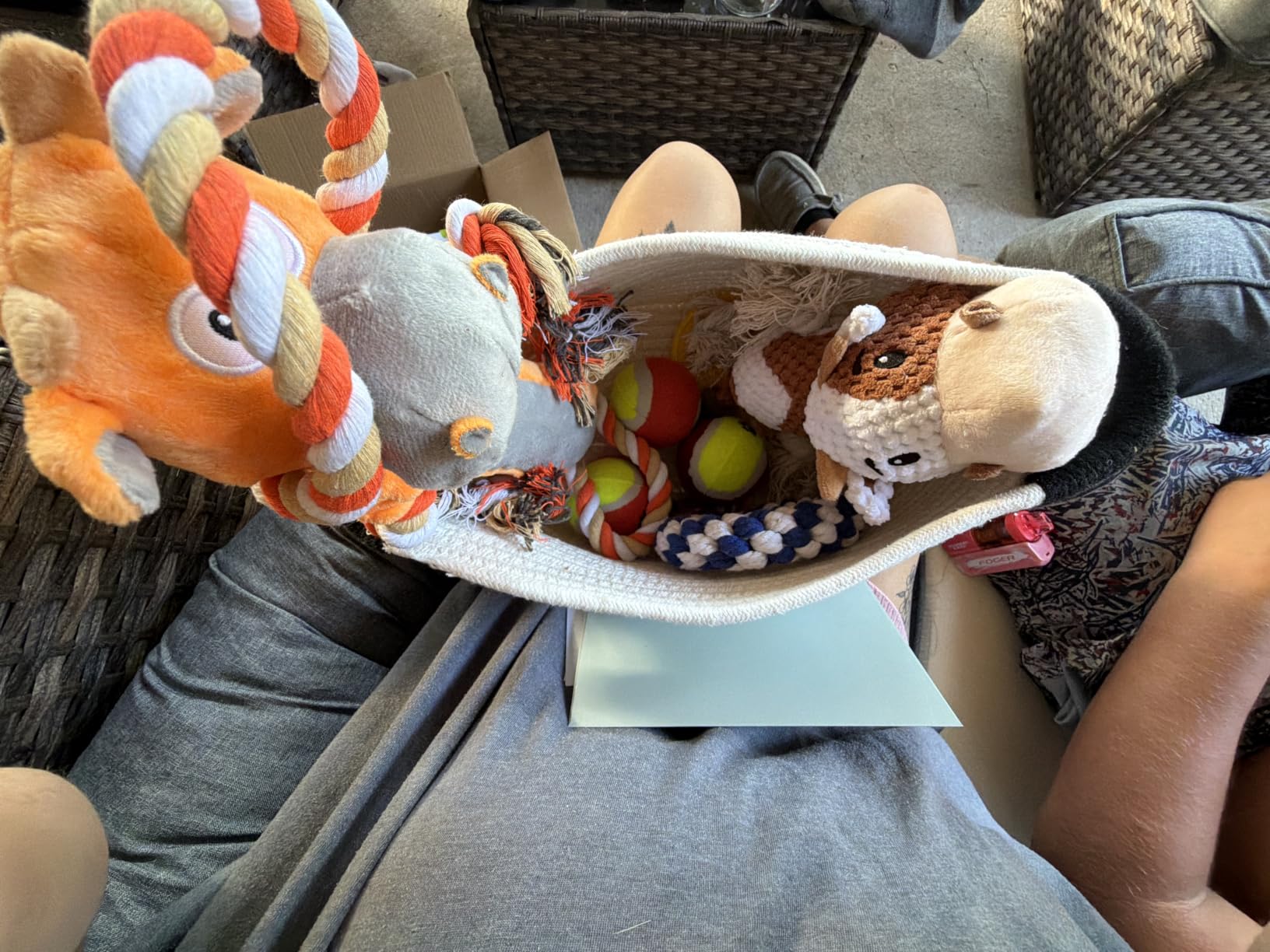 New Puppy Gift Basket - Premium Puppy Starter Kit and Dog Gift Basket with Dog Toys - Perfect Doggie Birthday Gifts and Puppy Necessities with Pet Toy Basket customer photo 1
