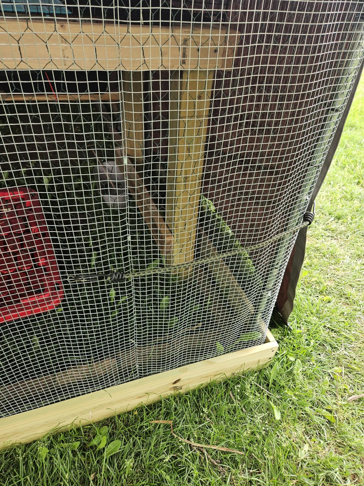 VEVOR Large Metal Chicken Coop, 9.8x13.1x6.5 ft Large Walk in Chicken Runs for Yard with Cover, Hen House Enclosure with Security Lock, Outdoor Duck Rabbit Cage Poultry Pen for Backyard, Farm, Yard customer photo 2