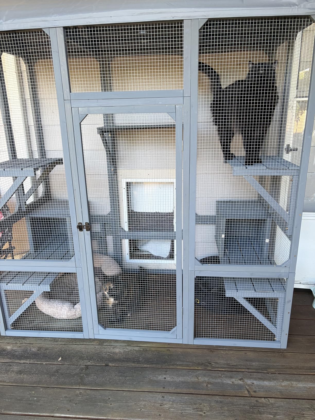TIMHAKA Catio Outdoor Cat Enclosure, Large Cat House for Multiple Cats Walk in Cat Cage with Waterproof Cover and Sunshine Panel Roof, Feral Cat Shelter with 7 Platforms and 2 Resting Box, 72 inch customer photo 1
