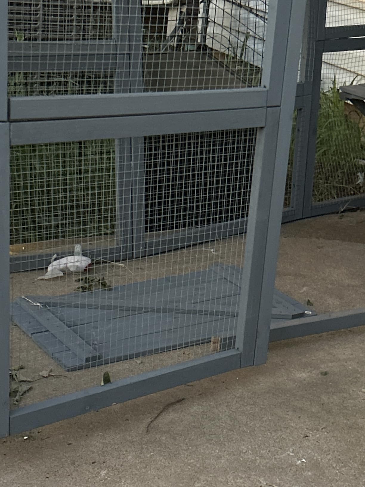 TIMHAKA Catio Outdoor Cat Enclosure, Large Cat House for Multiple Cats Walk in Cat Cage with Waterproof Cover and Sunshine Panel Roof, Feral Cat Shelter with 7 Platforms and 2 Resting Box, 72 inch customer photo 2