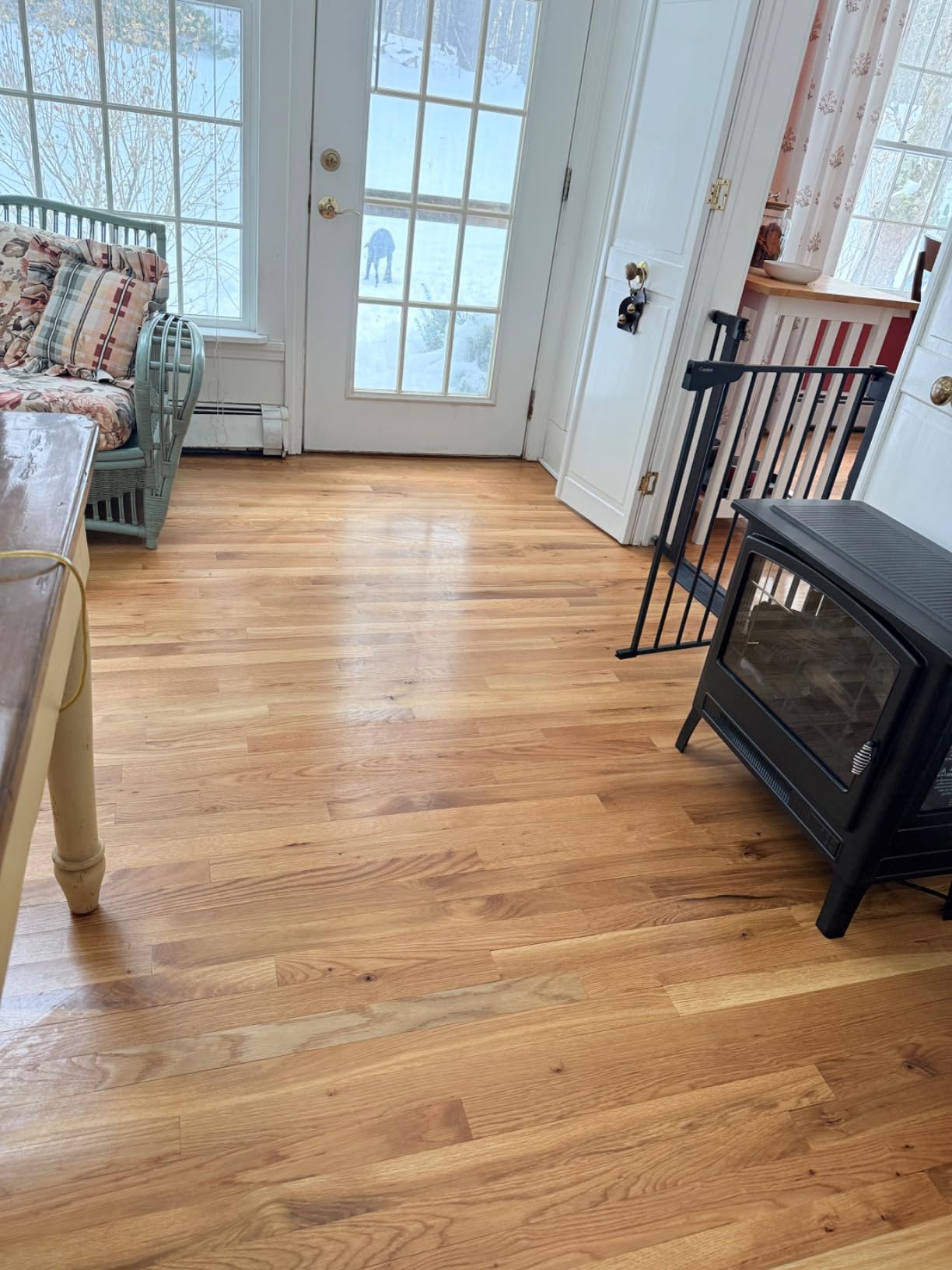 Shark Steam Pickup 3-in-1 Steam Mop Cleaner Picks Up Debris, Deep Scrubs & Steam Sanitizes - All At Once for Sealed Hard Floors like Hardwood, Tile & Laminate, SD201 customer photo 2
