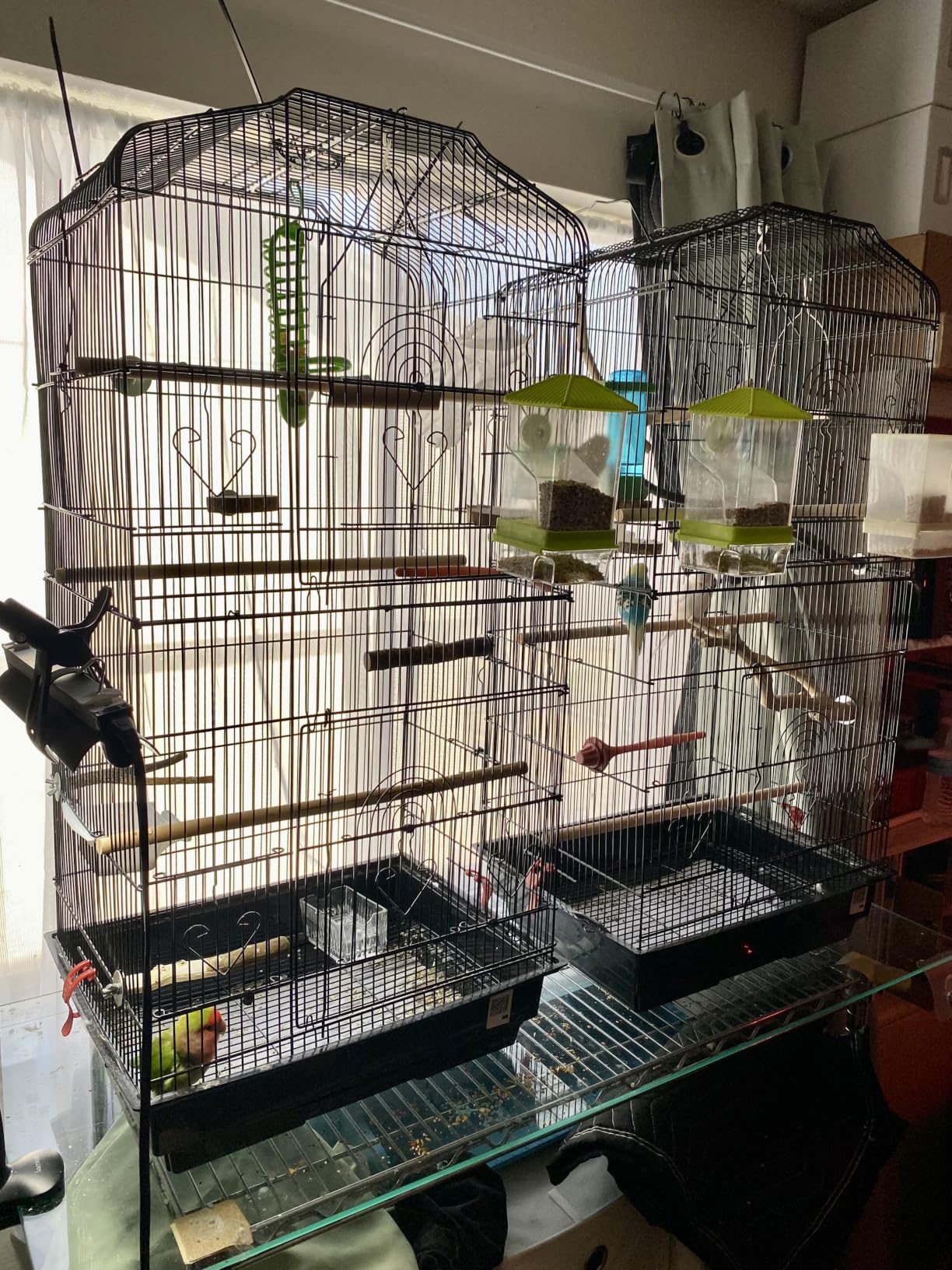VEVOR 64-inch Open Top Large Parrot Bird Cage with Detachable Rolling Stand for Parakeets Finches Cockatiels customer photo 1