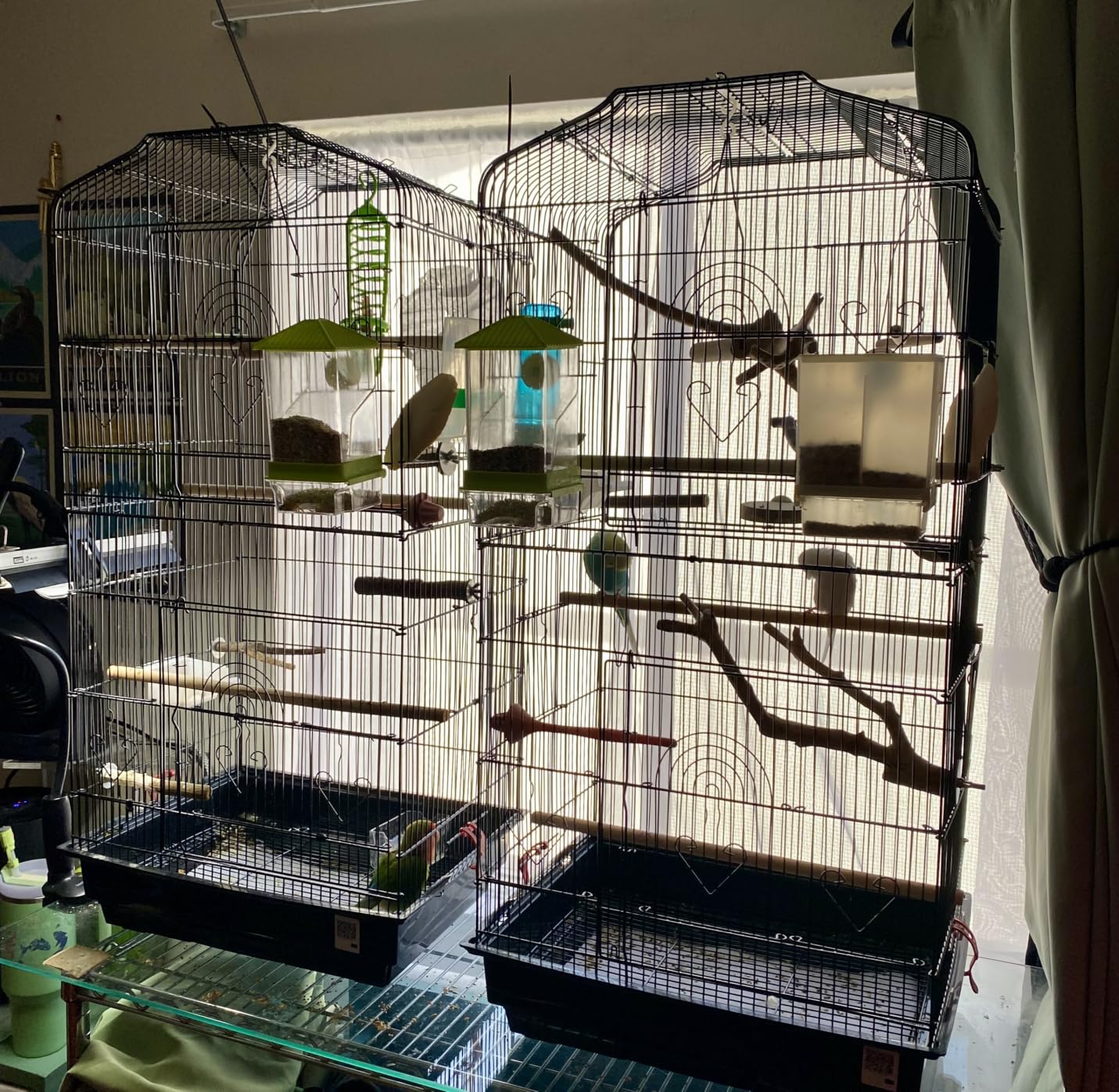 VEVOR 64-inch Open Top Large Parrot Bird Cage with Detachable Rolling Stand for Parakeets Finches Cockatiels customer photo 2