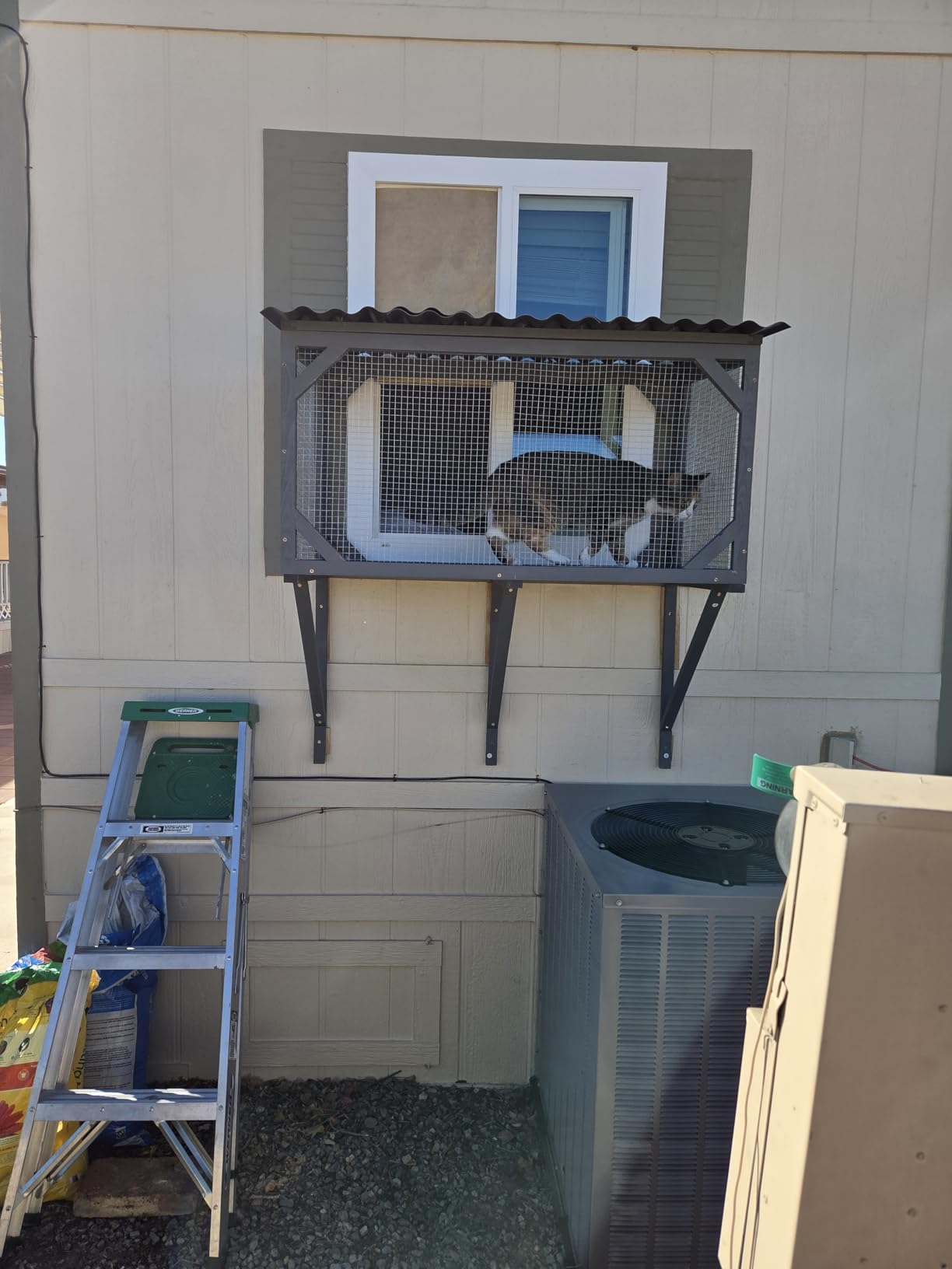 Catio Outdoor Cat Enclosure Window Perch for Sunbathing, Napping, Overlooking Hammock for Safely Enjoying Outdoor Sights - All Weather Use customer photo 2