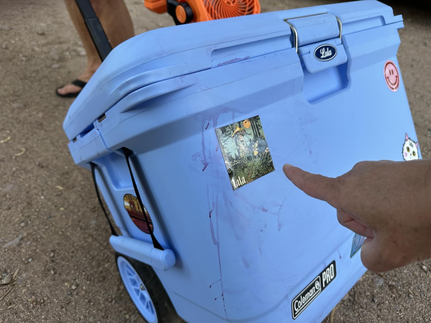 Coleman Pro Heavy-Duty 45qt Ultra-Light Premium Hard Cooler, Extra-Thick Insulation Keeps Ice up to 4 Days, 74-Can Capacity customer photo 1