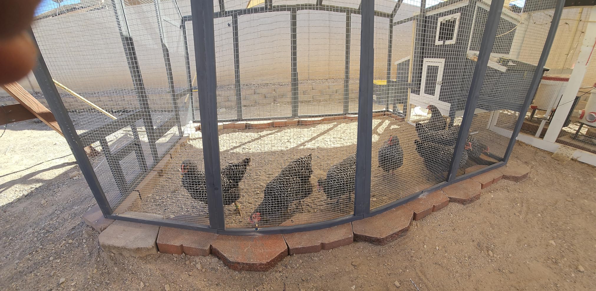 Chicken Coop for 10-12 Chickens, Large Wooden Chickens Run, Outdoor Walk in Poultry Cage Duck Runs for Yard with Cover & Chicken Vegetable Feeder,Chicken House for Outside Farm Backyard customer photo 2