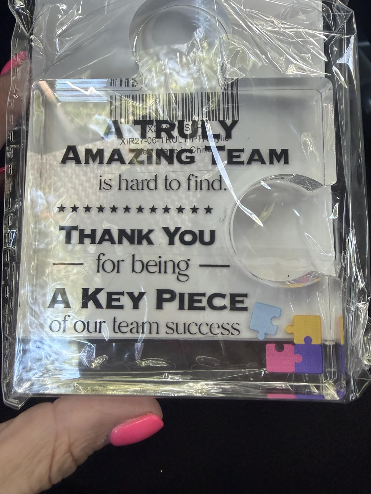 Team Thank You Appreciation Gifts for Coworkers Colleagues Employees, Teamwork Gift Best Teams Ever Gifts a Truly Amazing Team Is Hard to Find Acrylic Puzzle Piece Plaque Office Decor customer photo 1