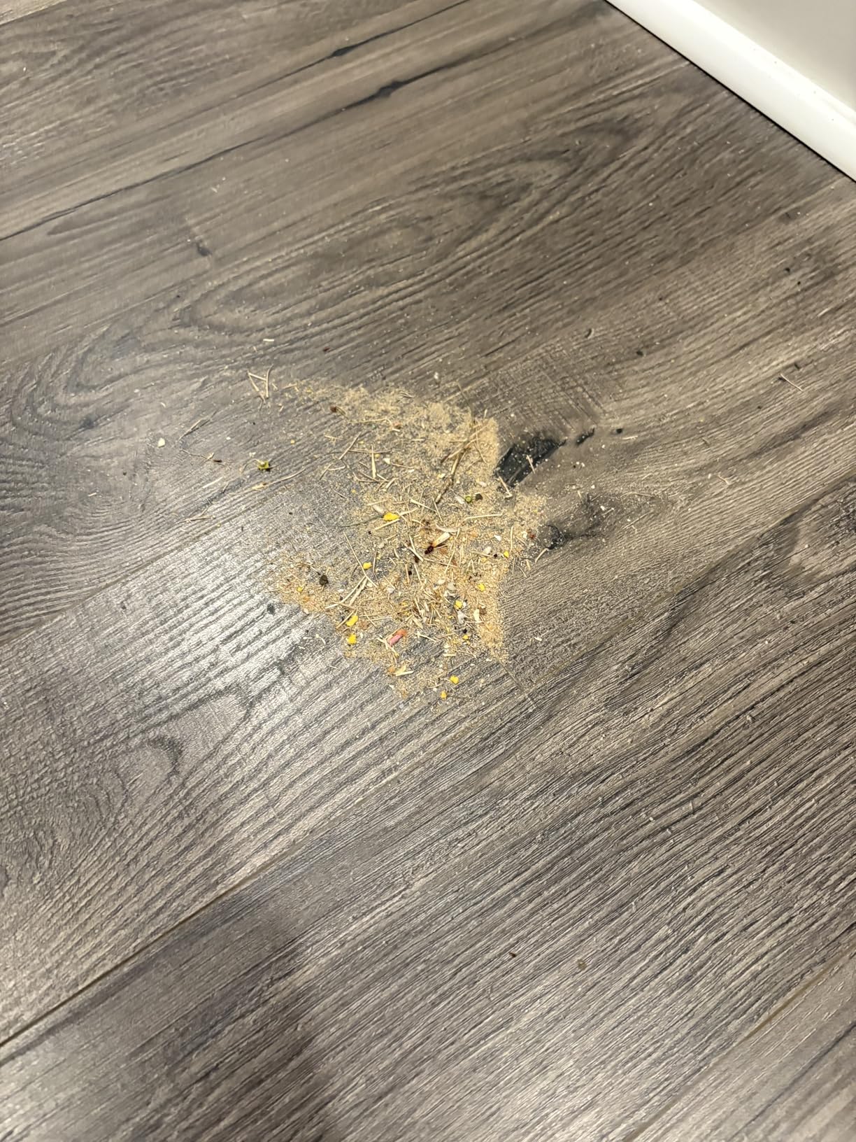 eufy C10 Robot Vacuum Self Emptying customer photo 2