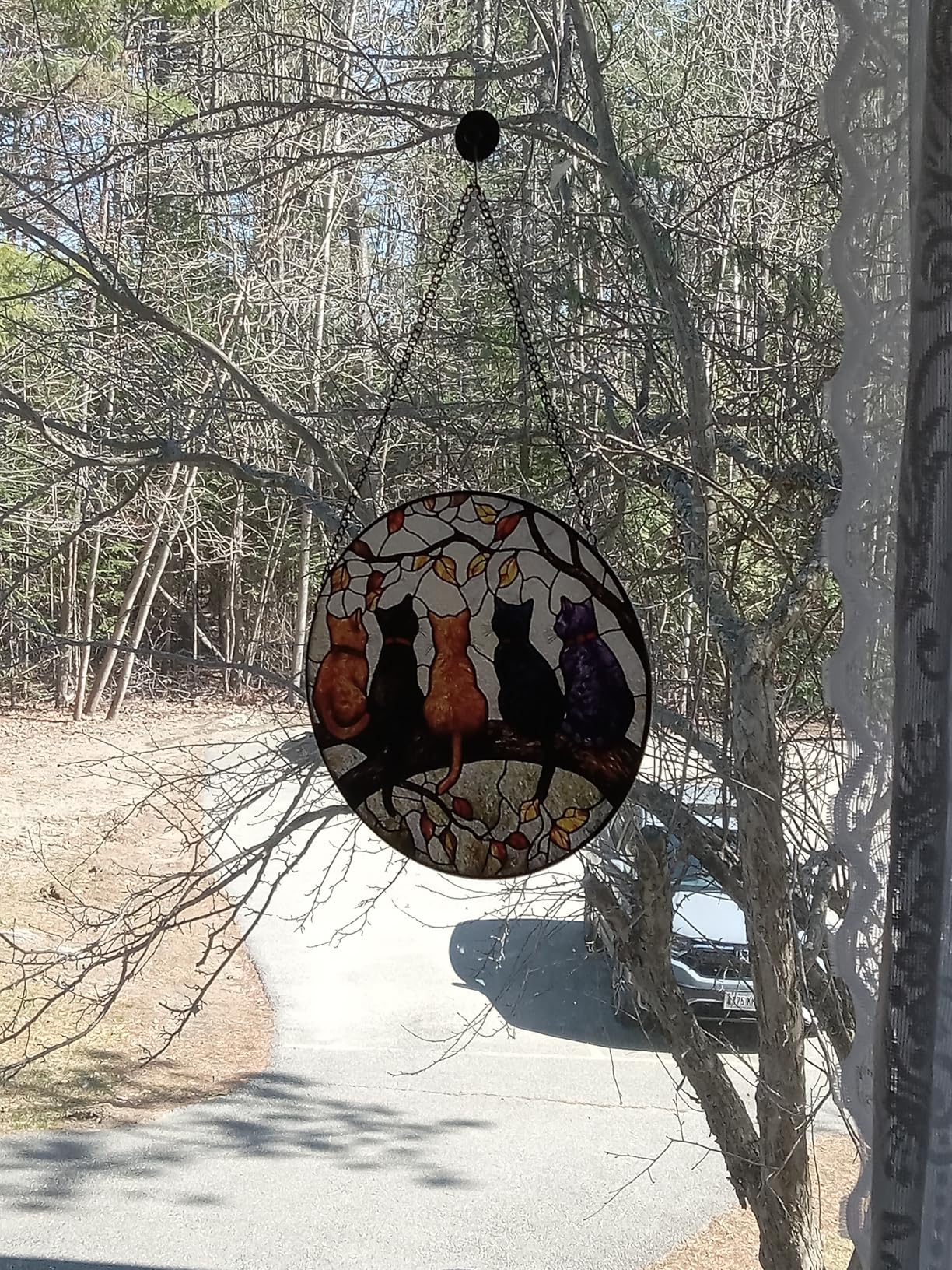 DASTOLL Stained Glass Window Hanging - 5 Cats on a Branch Suncatcher for Window Doors Home Decoration and Christmas, Mother's Day Father's Day Birthday Gifts for Women, Men, and Mom 6.3x6.3 in customer photo 2