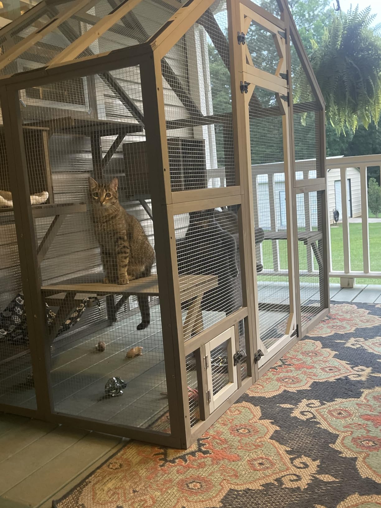 PetsCosset Extra Large Outdoor Cat Catio Walk-in Window Cat Patio Enclosure | Catio for Multiple Indoor Cats, Wooden Cat House with Weatherproof Roof, 8 Platforms, 2 Resting Boxes & 2 Bridges for Backyard customer photo 2