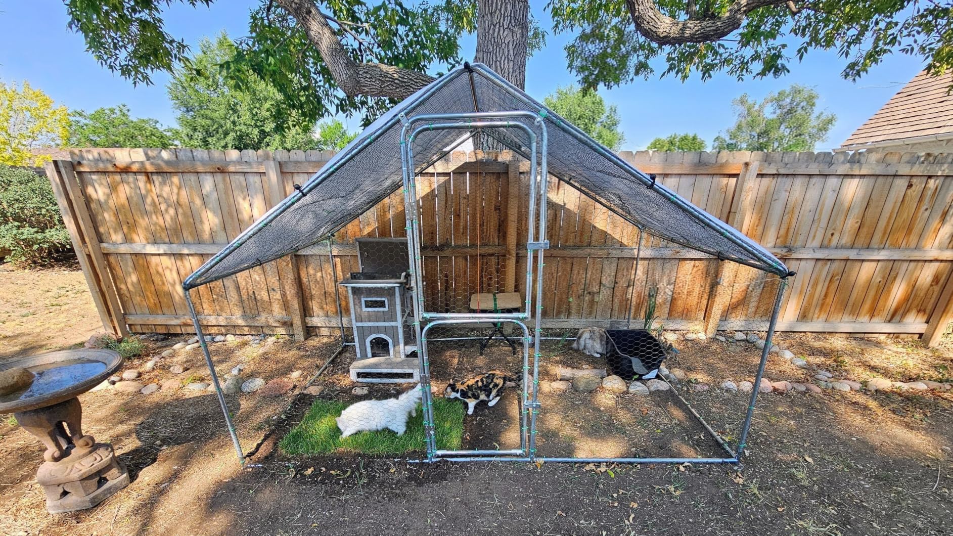 UDPATIO Large Metal Chicken Coop Walk in 6-10 Chicken Run House | Heavy Duty Outdoor Poultry with Protective Cover for Ducks, or Rabbits | Predator-Proof & Weather-Resistant customer photo 1
