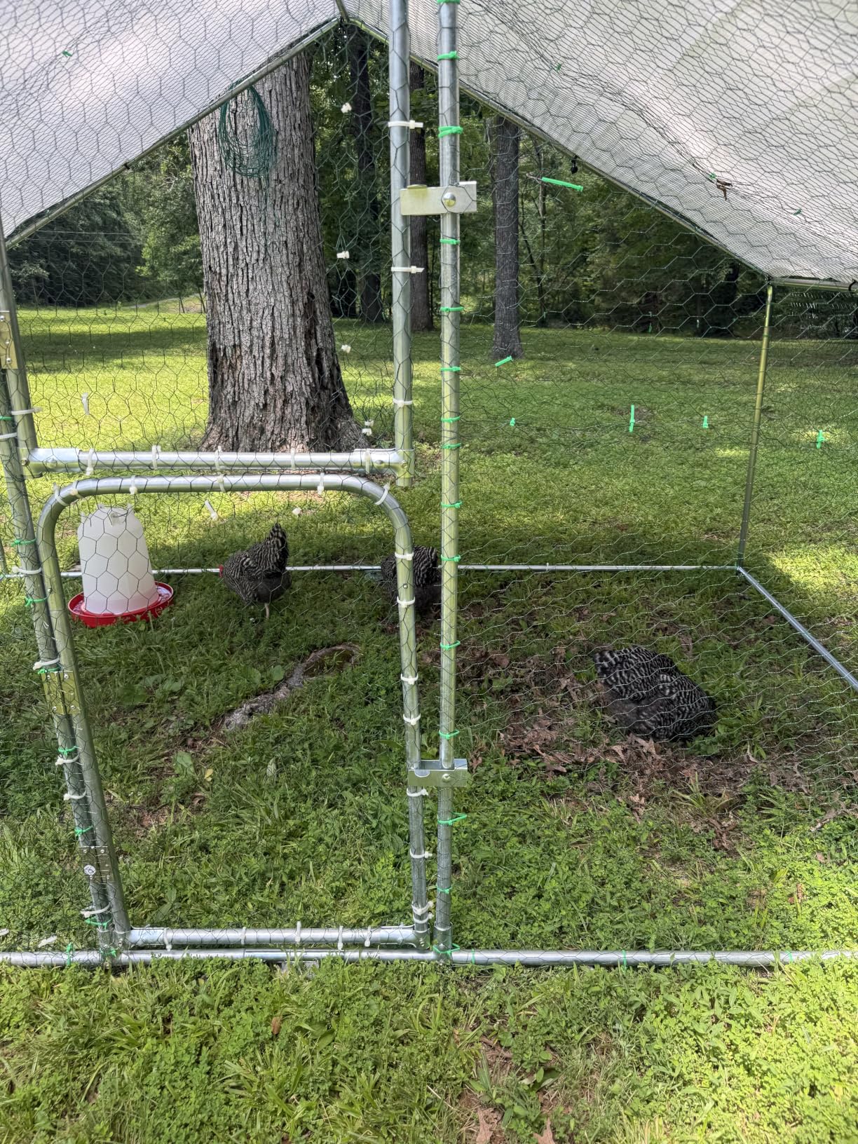 UDPATIO Large Metal Chicken Coop Walk in 6-10 Chicken Run House | Heavy Duty Outdoor Poultry with Protective Cover for Ducks, or Rabbits | Predator-Proof & Weather-Resistant customer photo 2