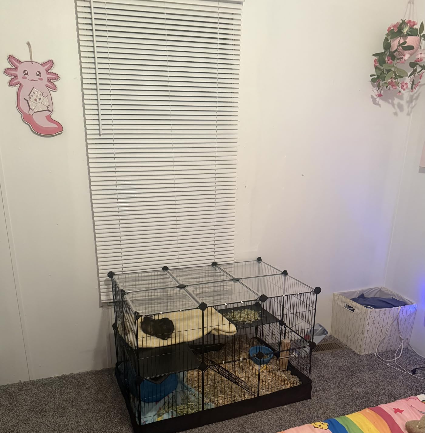 SONGMICS 2-Tier Guinea Pig Cage, Rabbit Cage, Small Animal Playpen with Waterproof Mat, Top and Side Door, 35 Panels, 36.6 x 24.8 x 24.2 Inches, Ink Black ULPI016BH01 customer photo 2