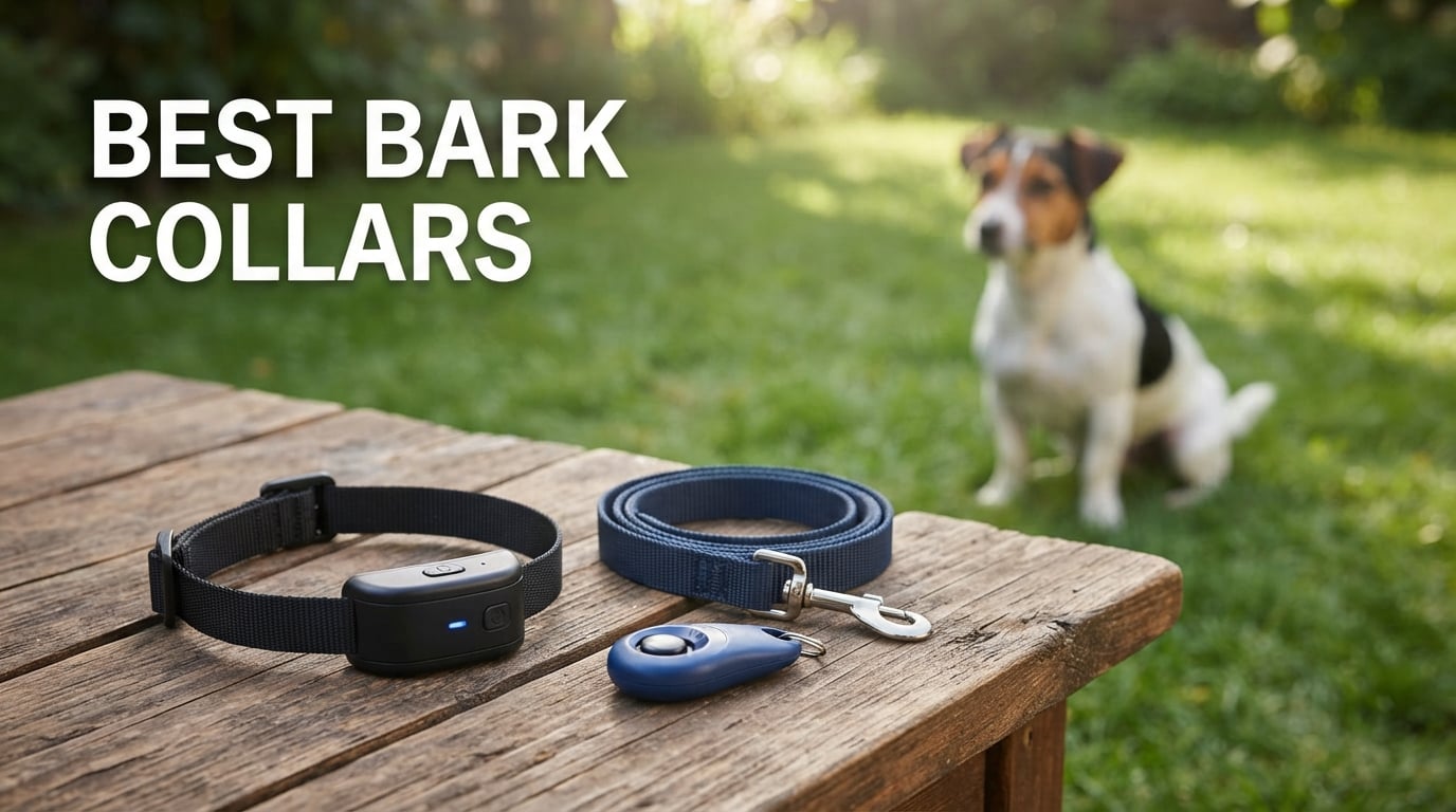 best bark collars