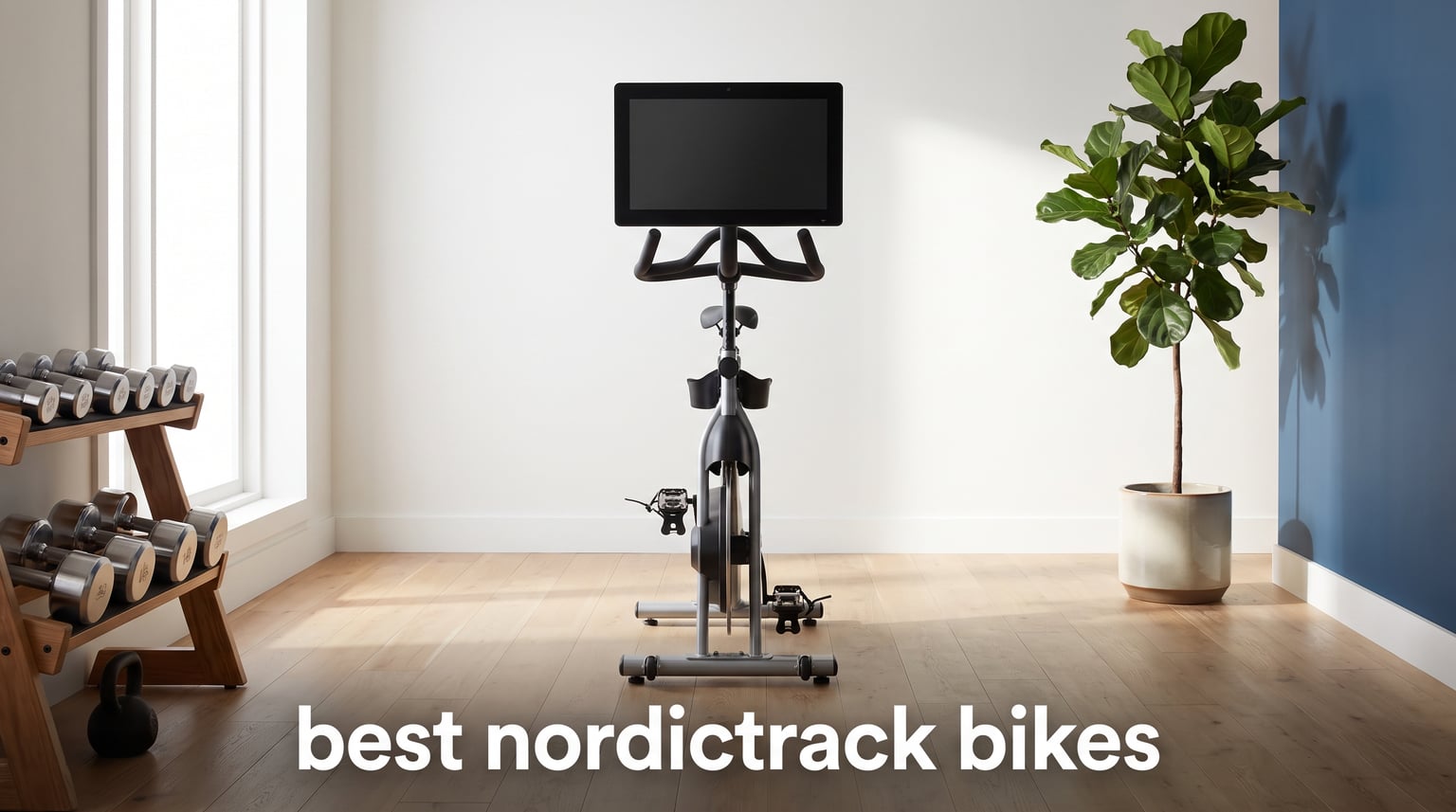 best nordictrack bikes