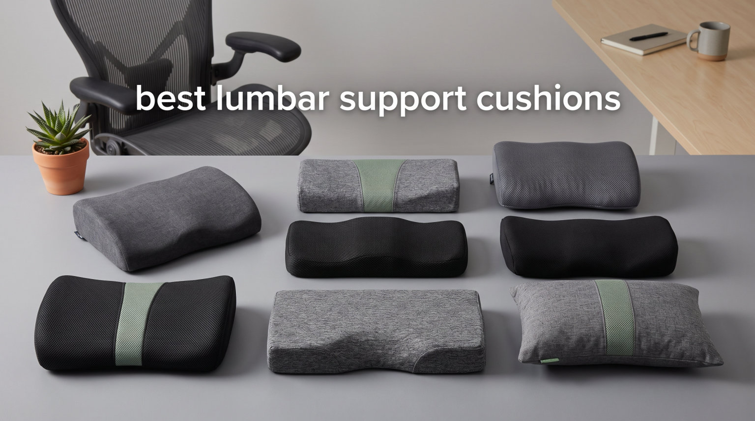 best lumbar support cushions