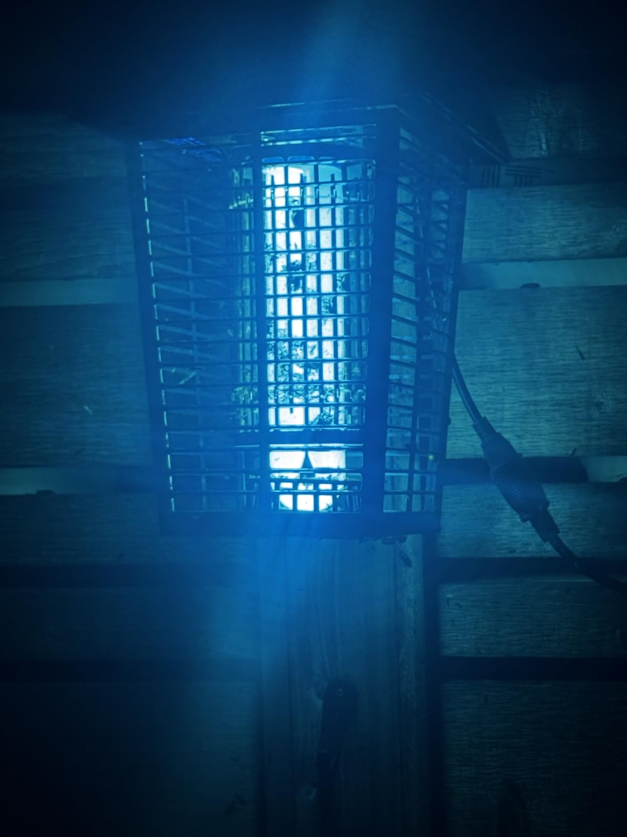 Flowtron Bug Zapper, 1 Acre Outdoor, 40W UV Bulb, 5600V, Octenol Attractant customer photo 2
