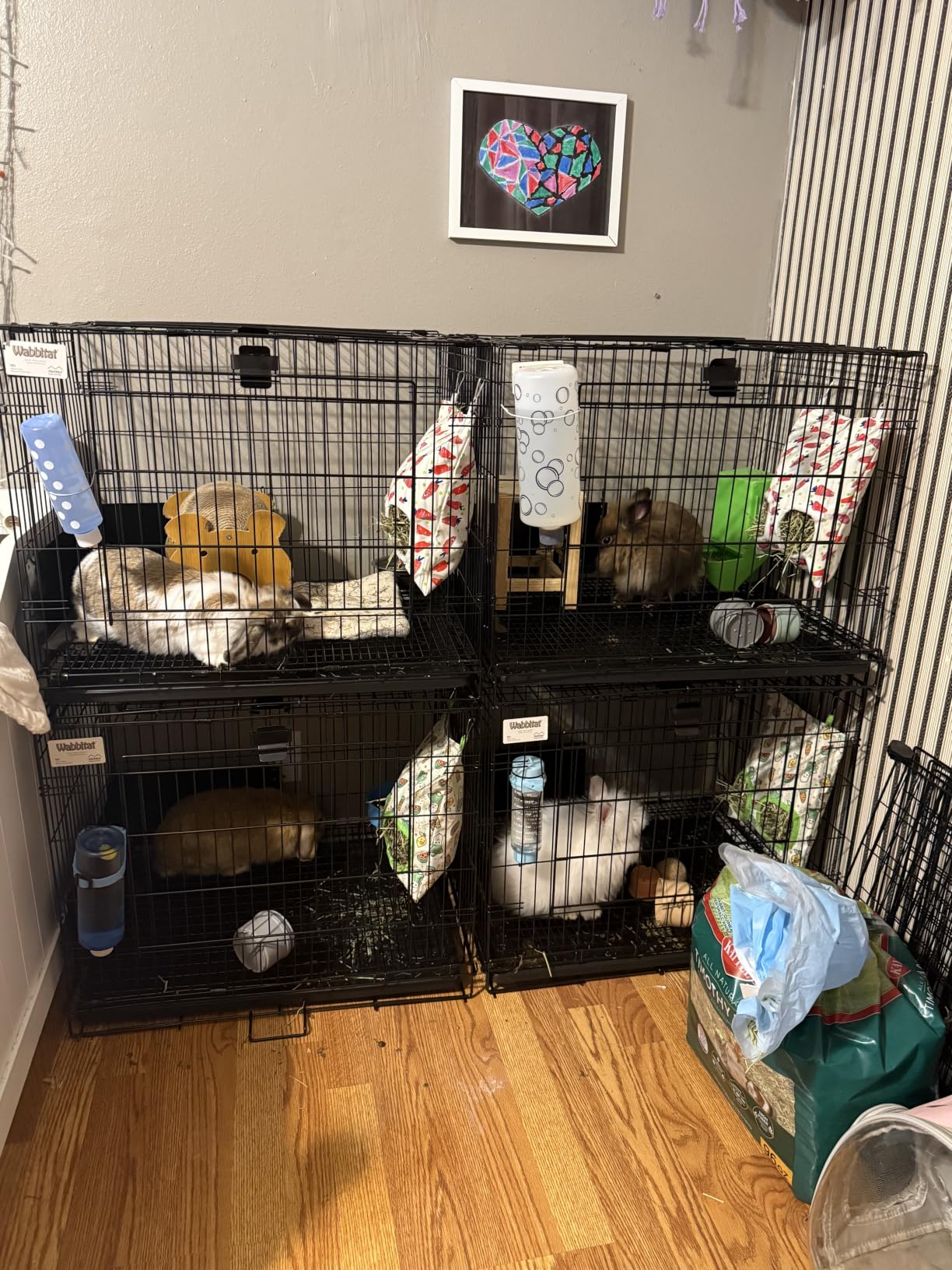 MidWest Homes for Pets Small Wabbitat Rabbit Cage, Grid Mesh Floor, Removable Tray, Top & Front Door Access, Rust Resistant Finish, No Tools Required customer photo 1