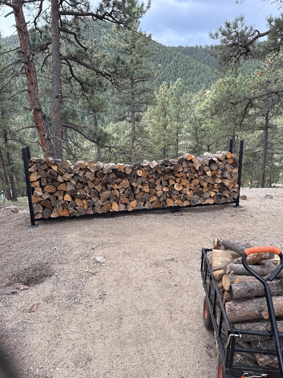 Woodhaven 8-Foot Firewood Rack - American Brand - 1/2 Cord Raised Lumber Storage Rack - Keeps Wood Dry & Ready - Heavy-Duty Steel, Lifetime Structural Warranty (With Cover) customer photo 1