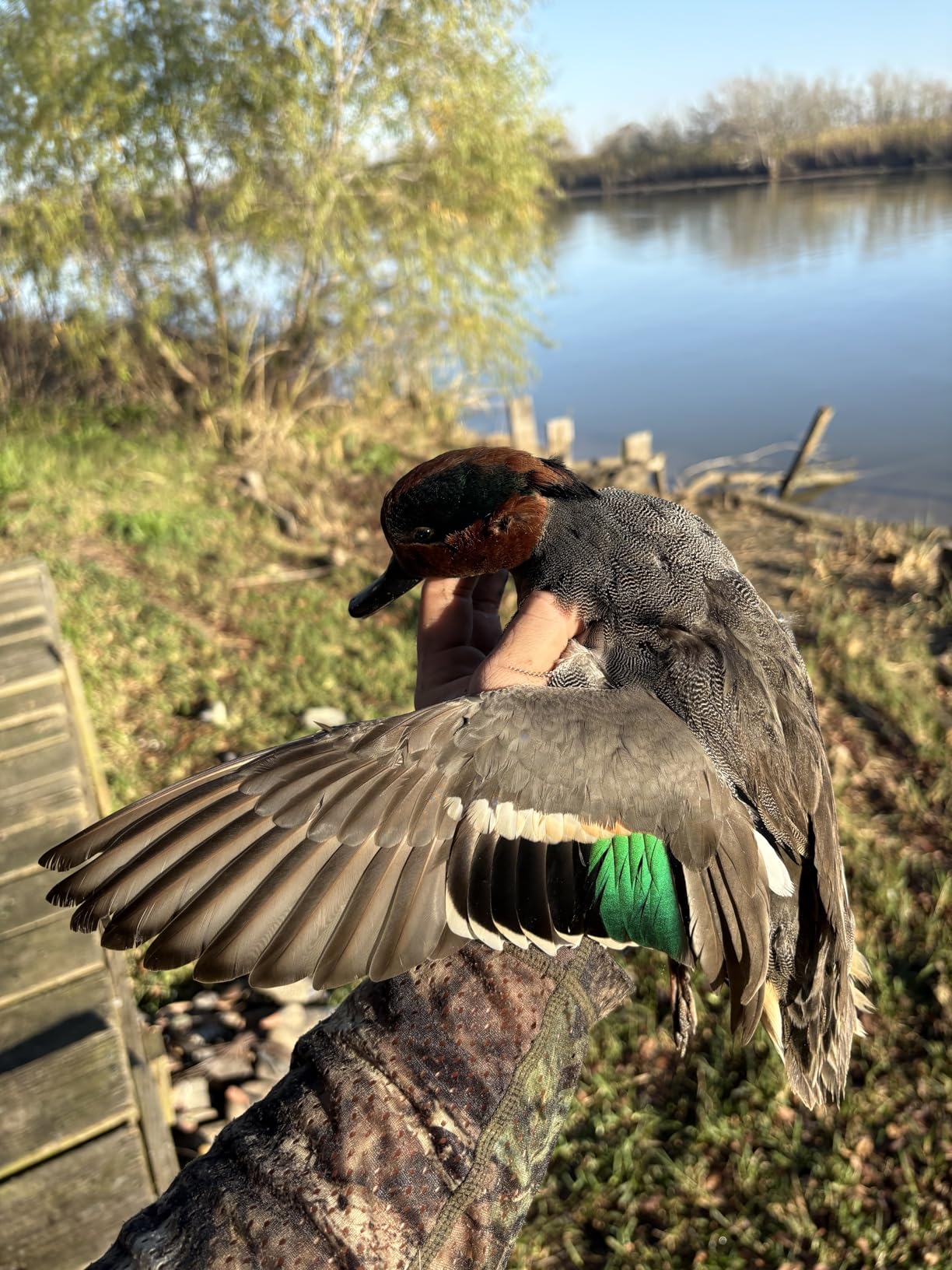 Primos Hunting Duck Call 838, High Roller - Reproduces Pintail, Mallard, Wigeon and Teal Calls customer photo 1