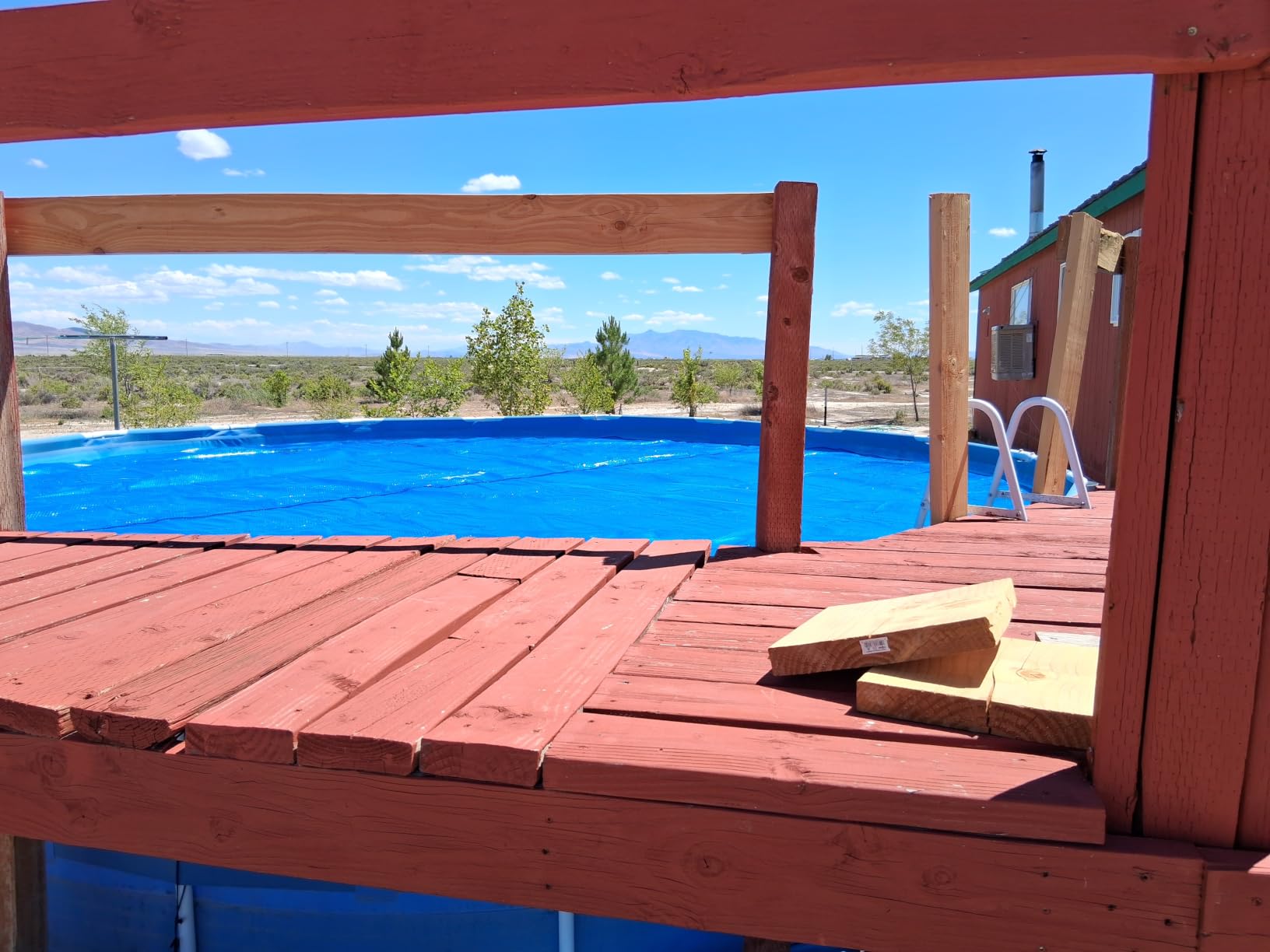 INTEX 28015E Solar Pool Cover: for 18ft Round Easy Set and Metal Frame Pools - Insulates Pool Water - Reduces Water Evaporation - Keeps Debris Out - Reduces Chemical Consumption customer photo 1