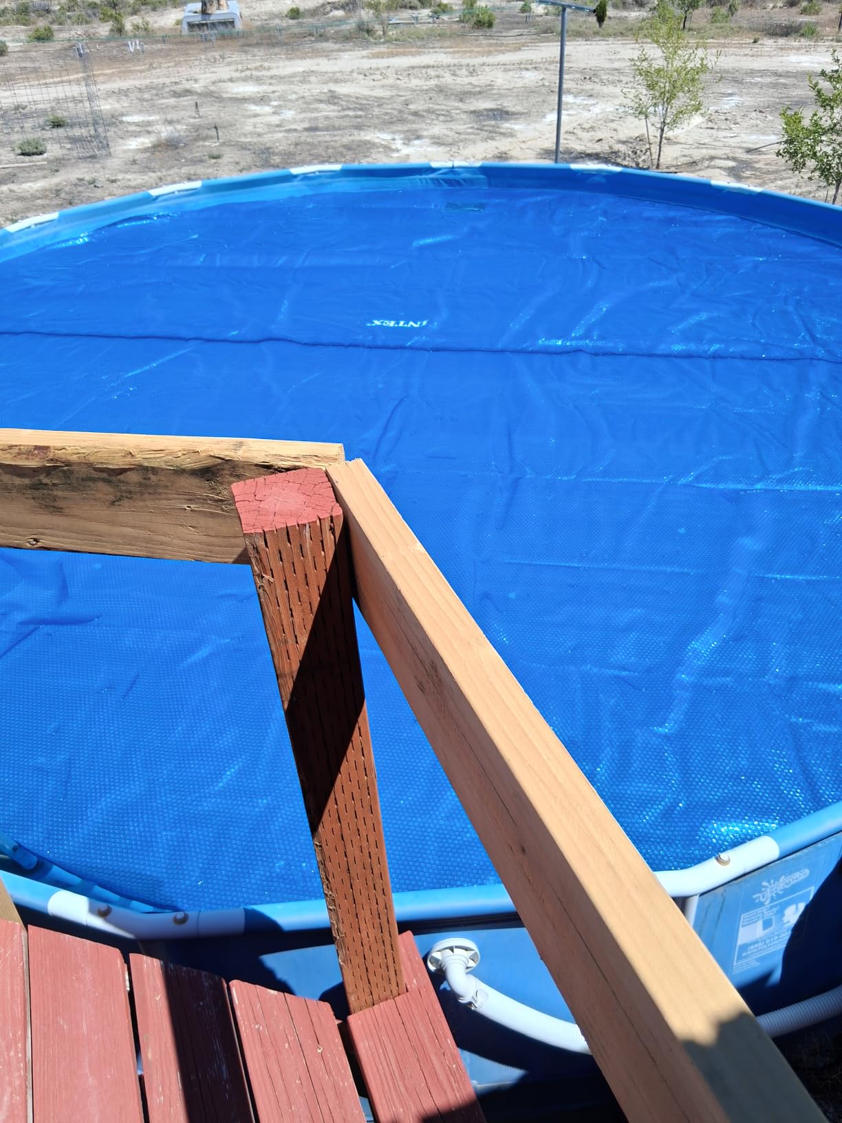 INTEX 28015E Solar Pool Cover: for 18ft Round Easy Set and Metal Frame Pools - Insulates Pool Water - Reduces Water Evaporation - Keeps Debris Out - Reduces Chemical Consumption customer photo 2