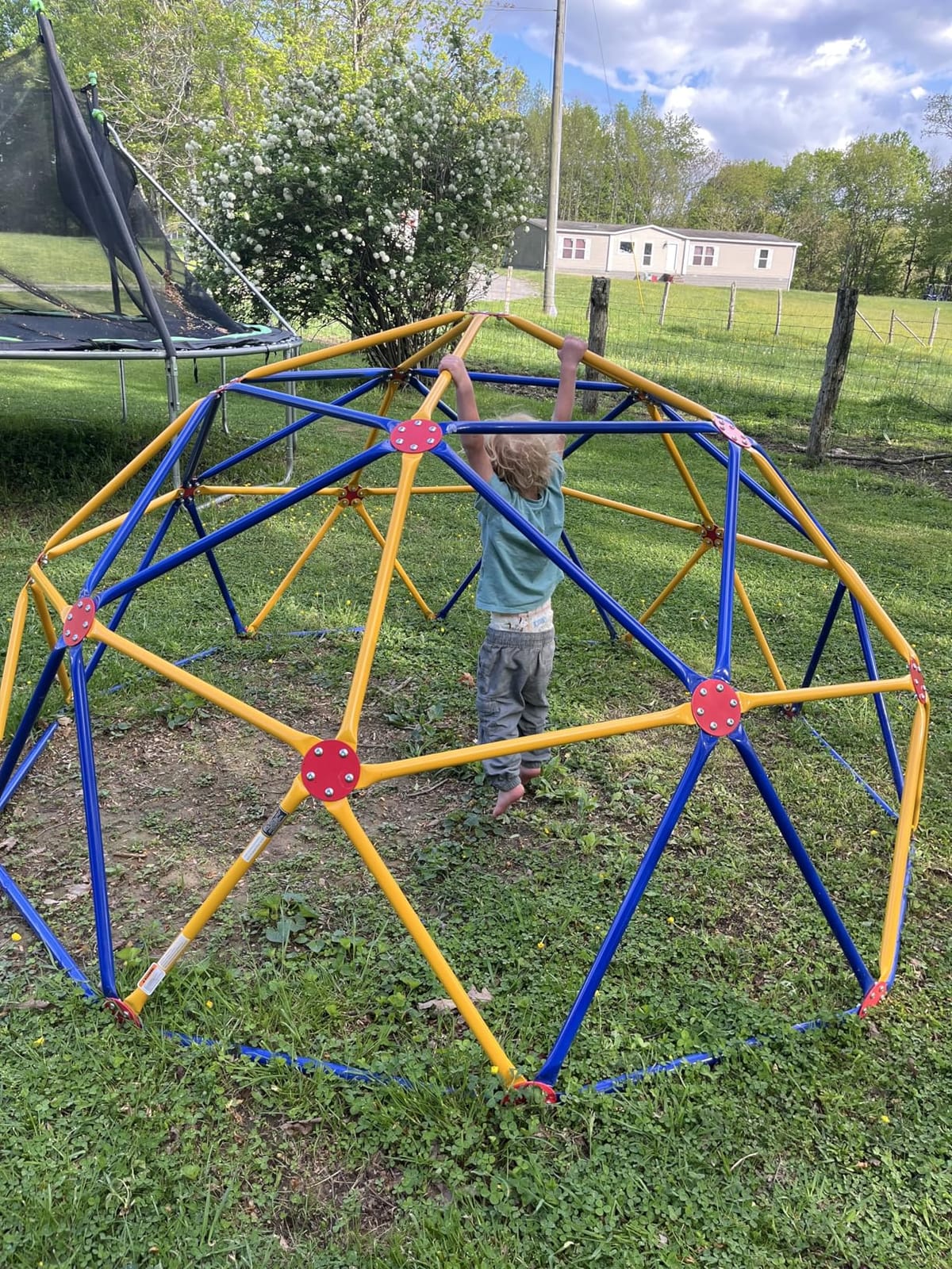 EASY OUTDOOR Space Dome Climber, Kids Outdoor Play Equipment, Kids Climbing Toys, UV Resistant Steel, Multi-Color, 1000 lbs Capacity GD-810 customer photo 2