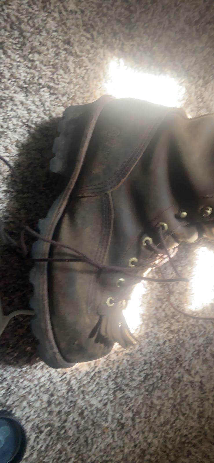 Chippewa Paladin 8