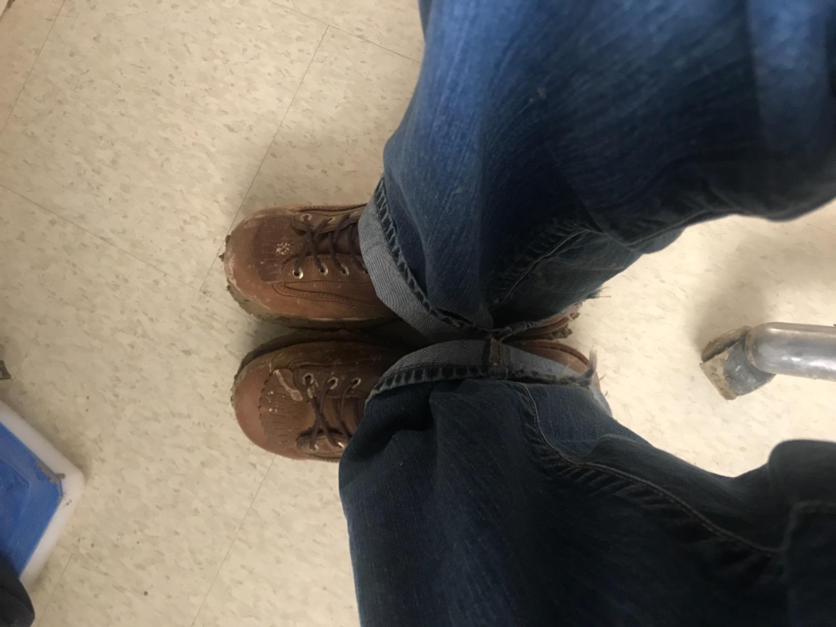 Chippewa Paladin 8