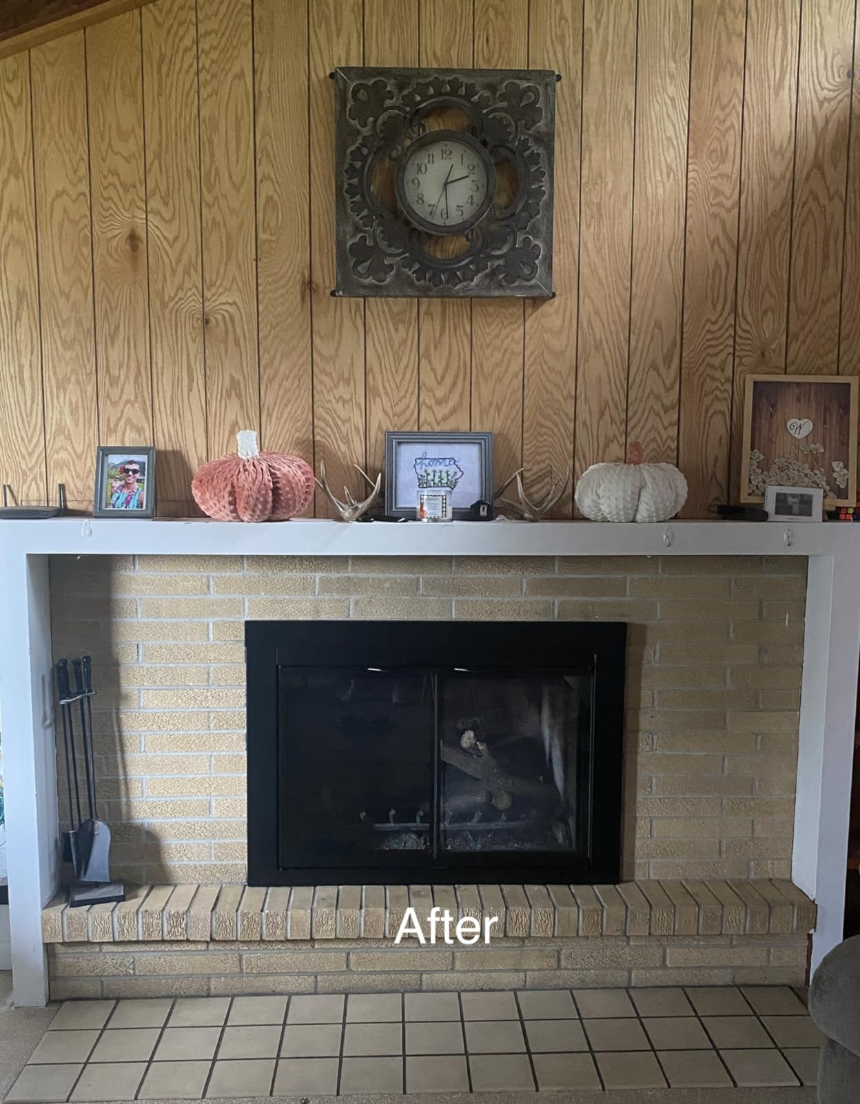 Pleasant Hearth AN-1010 Alpine Fireplace Glass Door, Black, Small customer photo 1