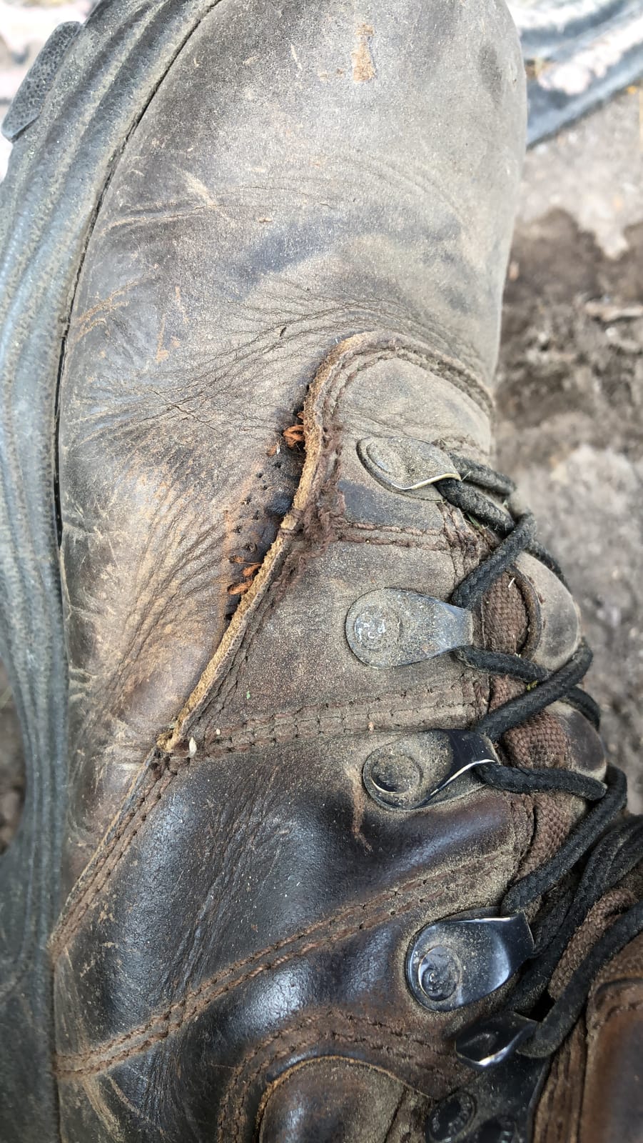 ROCKY Sport Utility 600G Insulated Waterproof Boot customer photo 1